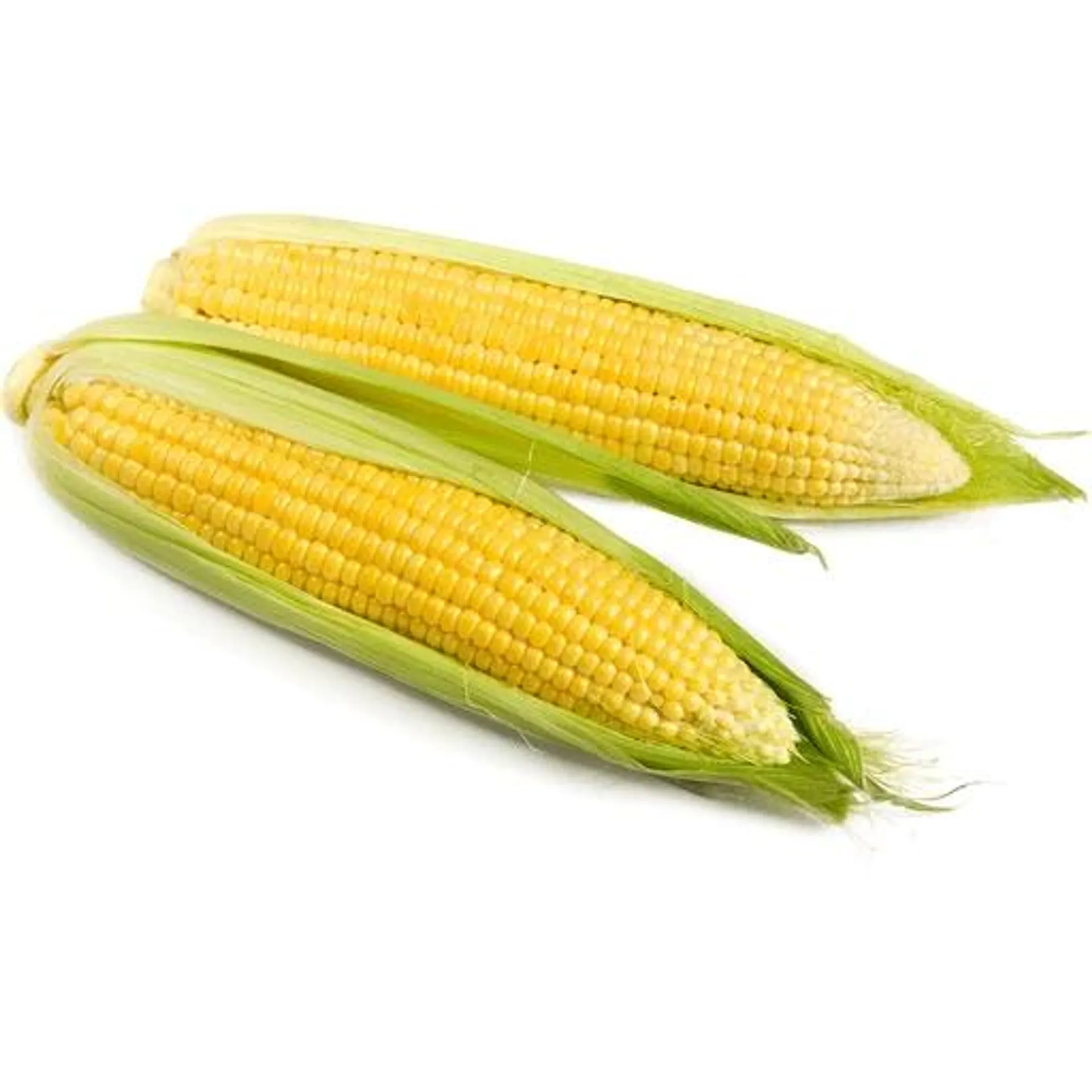 Bi-Color Sweet Corn