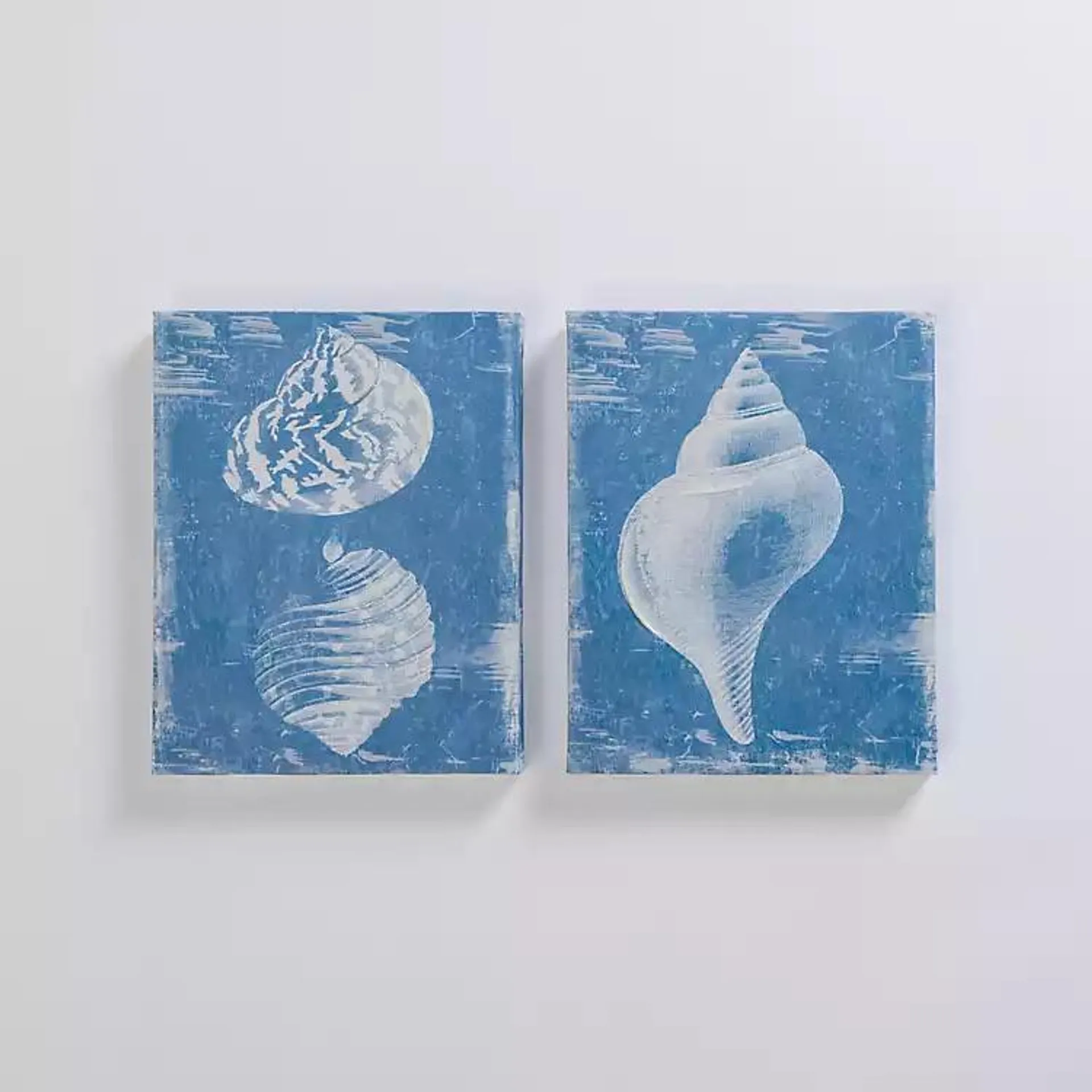 Blue & White Seashells Canvas Art Prints, Set of 2