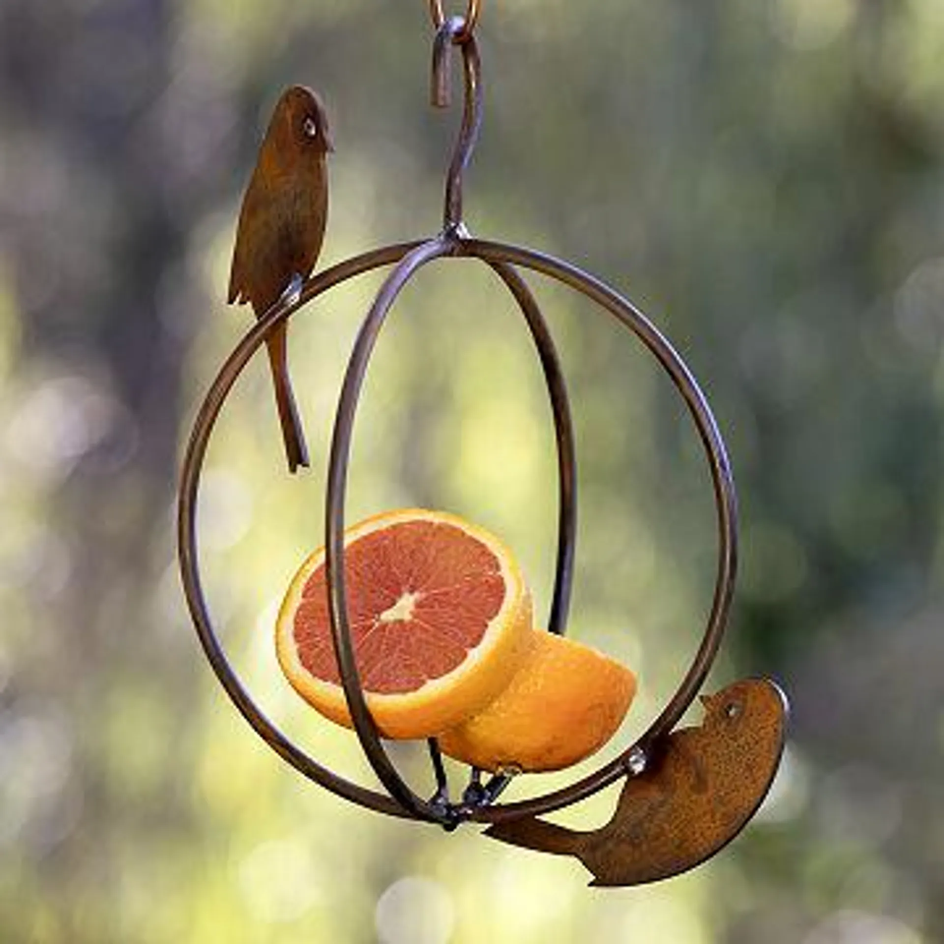 Birdie Orb Fruit Feeder
