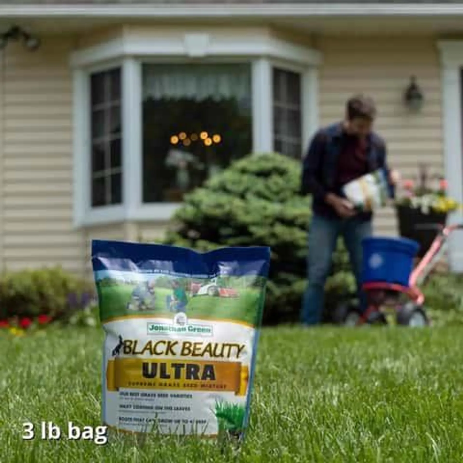 Jonathan Green Black Beauty Ultra All Grasses Sun or Shade Grass Seed 3 lb