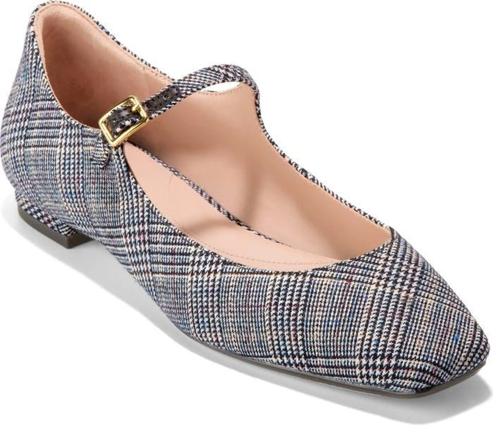 Bridge Mary Jane Ballet Flat (Women)