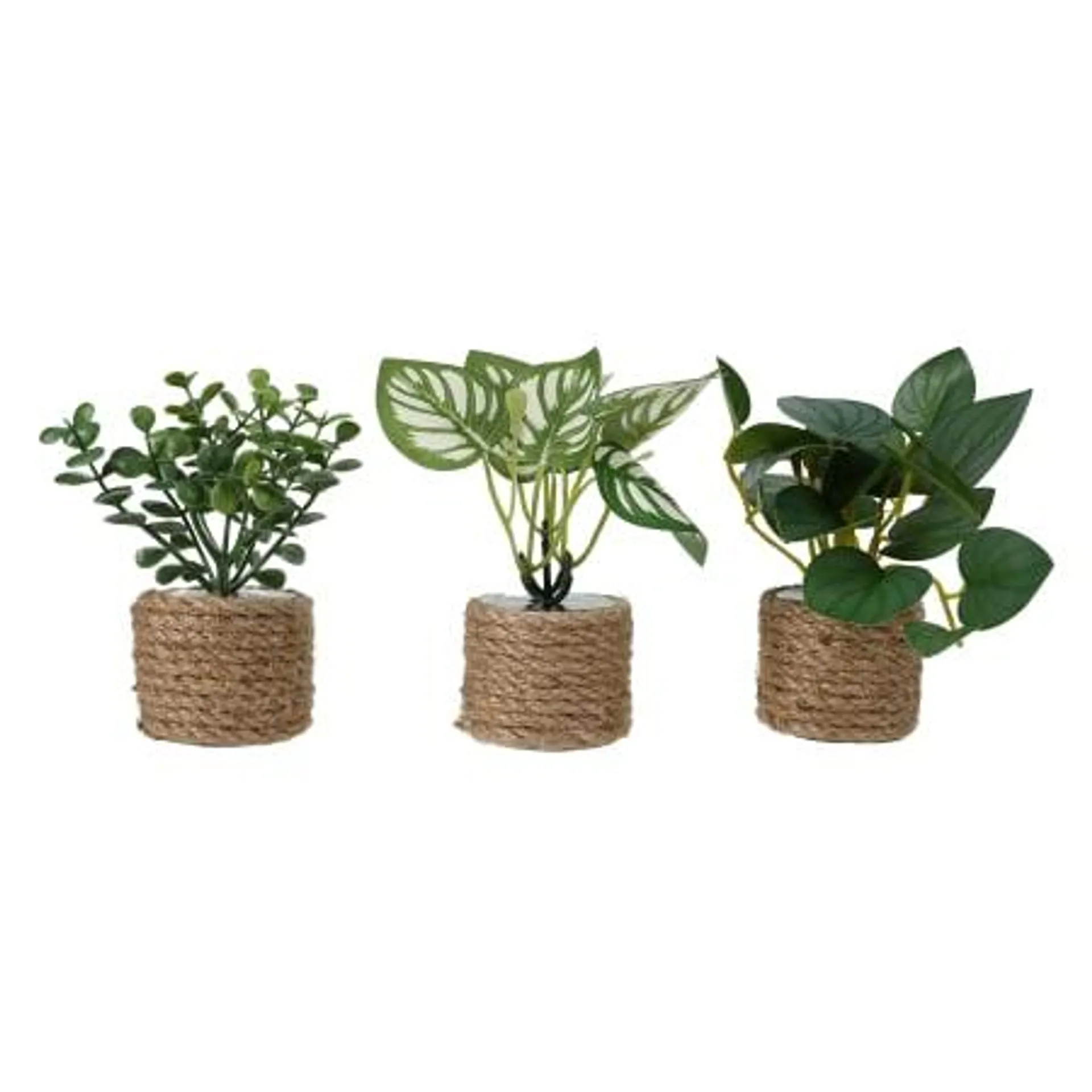 Mini Potted Faux Plants 3-Count