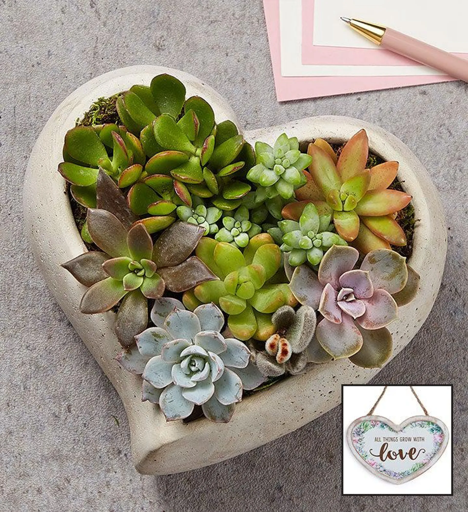 Sweet Succulent Heart Garden