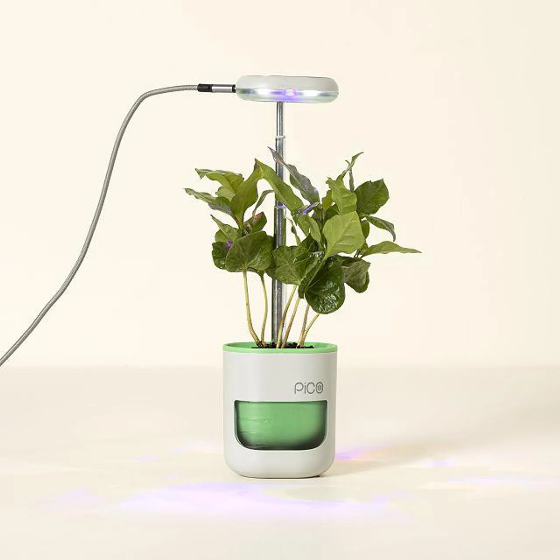 Self-Watering Plant Pod with Telescopic Light