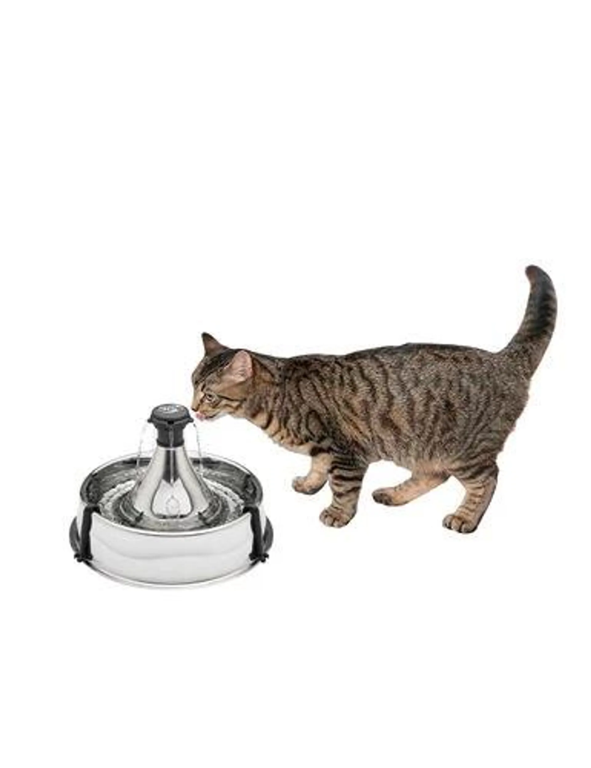 PetSafe® Drinkwell® 360 Stainlees Steel Fountain, 1 Gallon