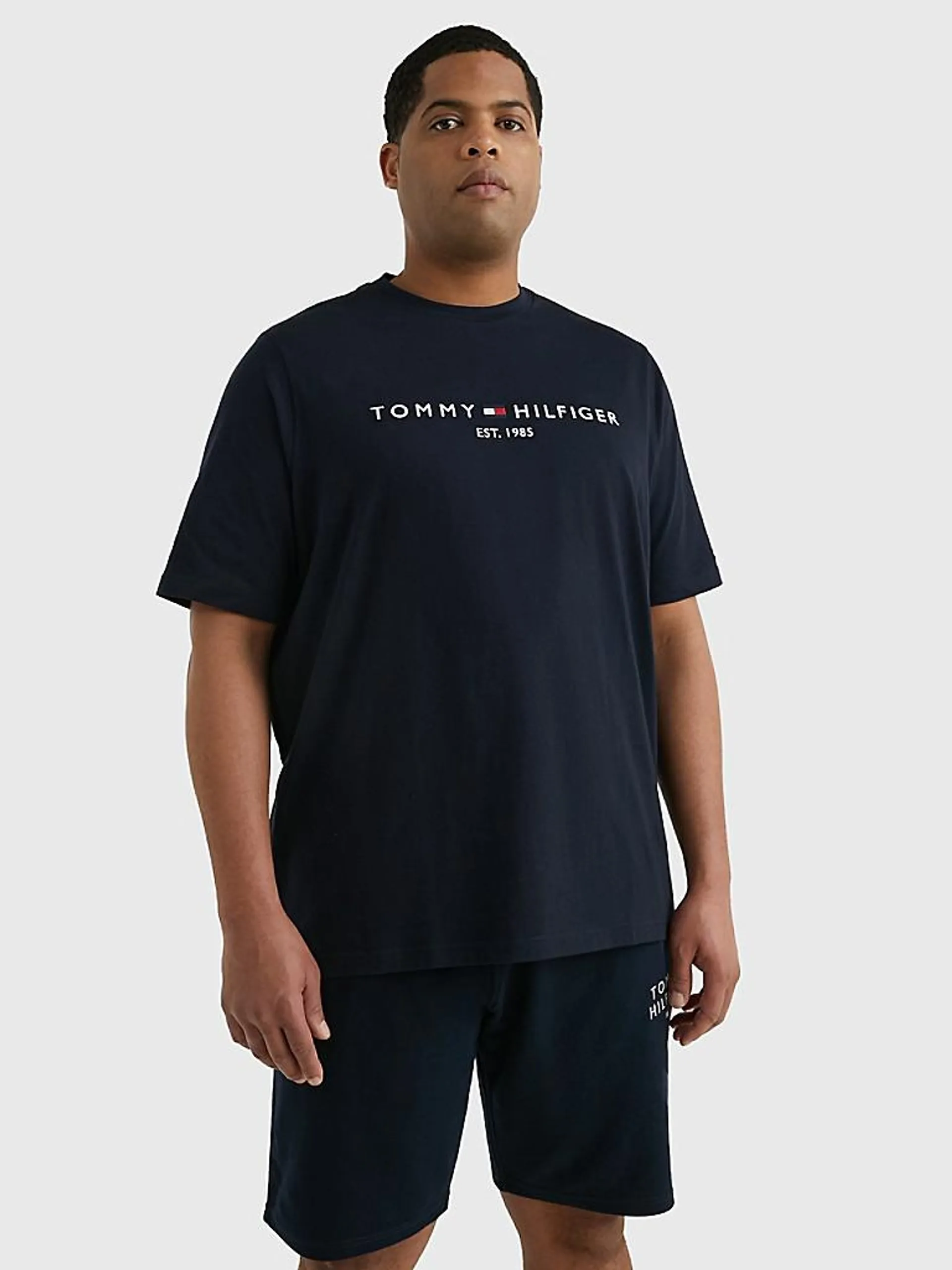 Big And Tall Slim Fit Hilfiger Logo T-Shirt