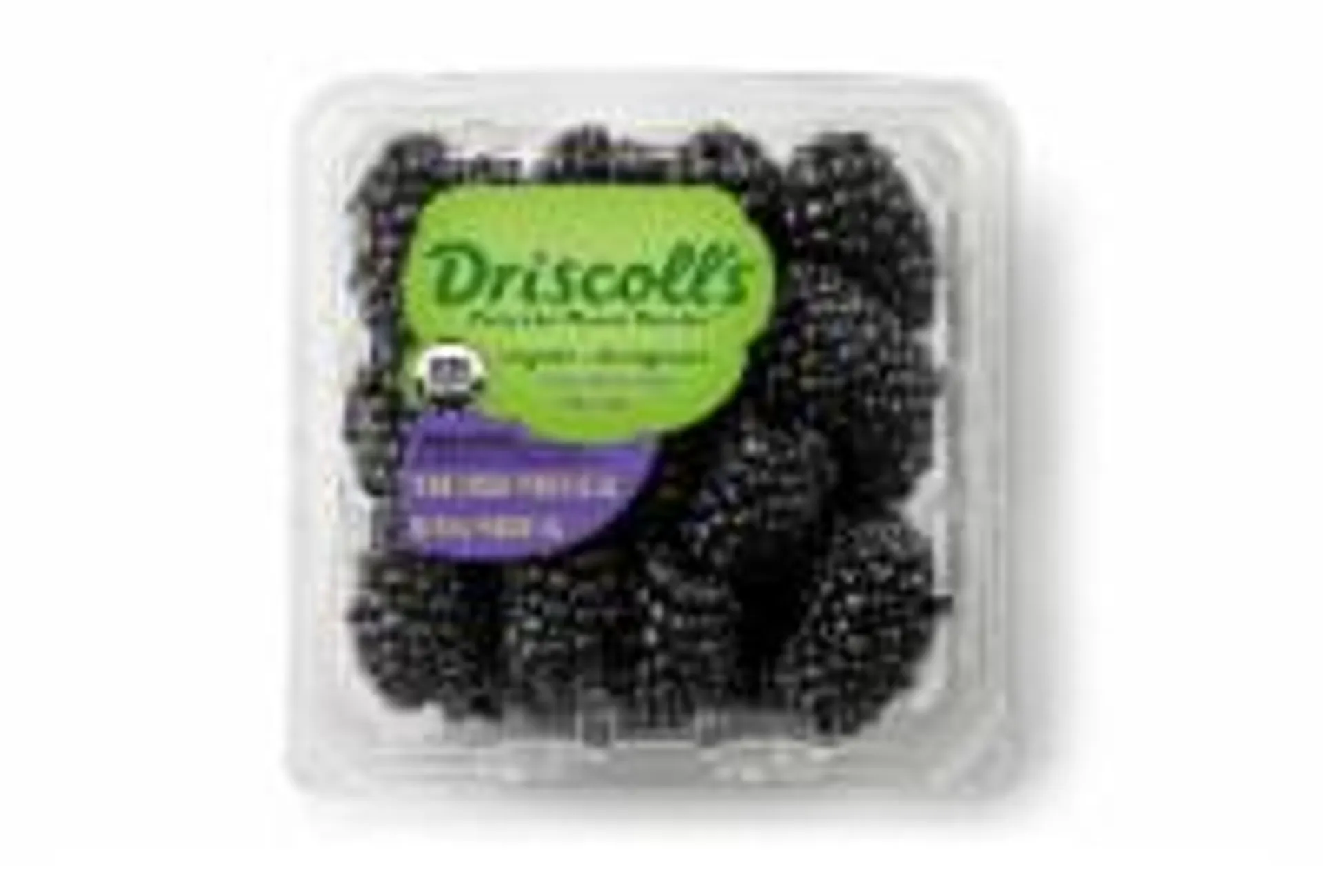 Fresh Organic Blackberries