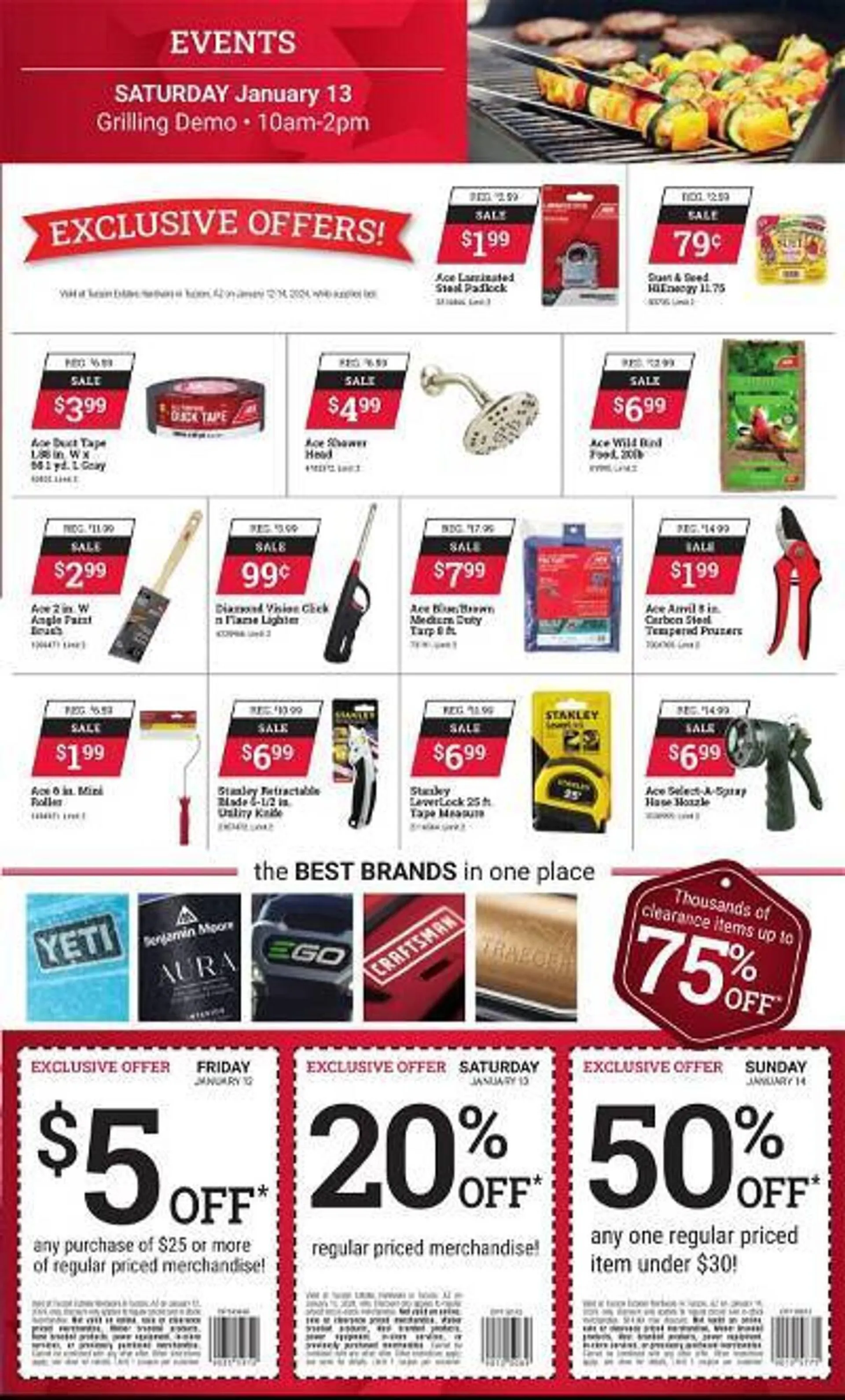 Weekly ad Ace Hardware Weekly Ad from January 12 to January 14 2024 - Page 2