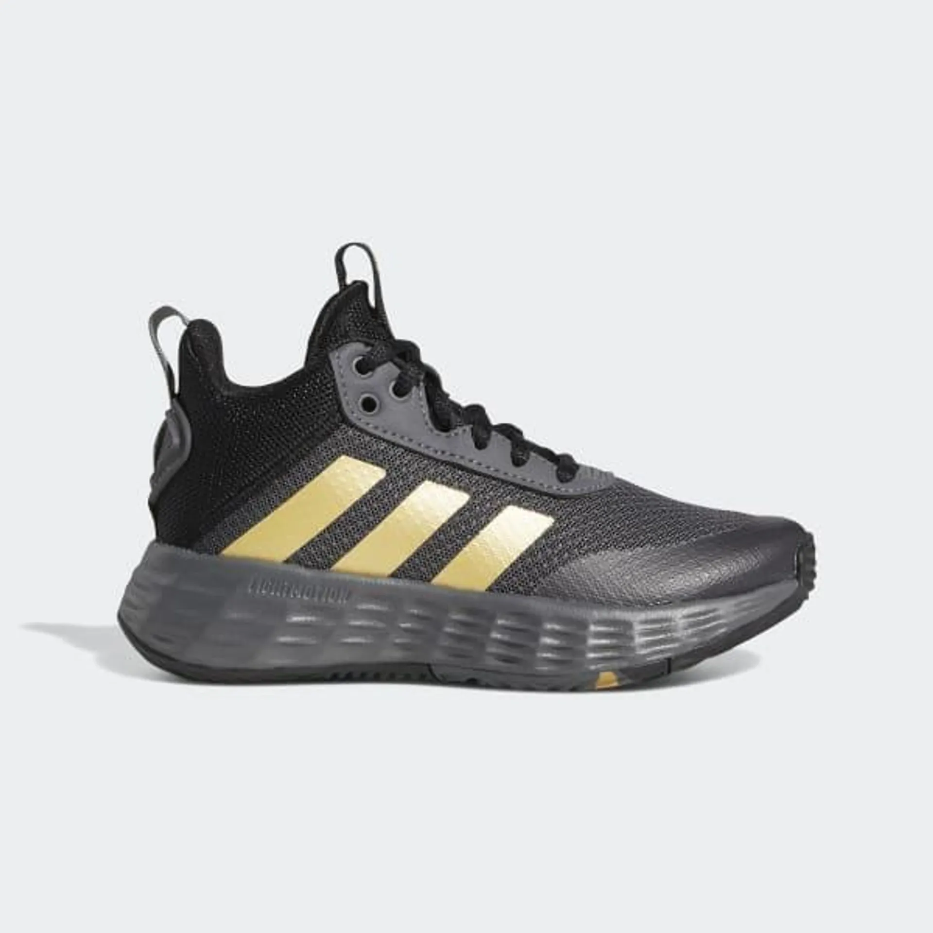 Ownthegame 2.0 Shoes