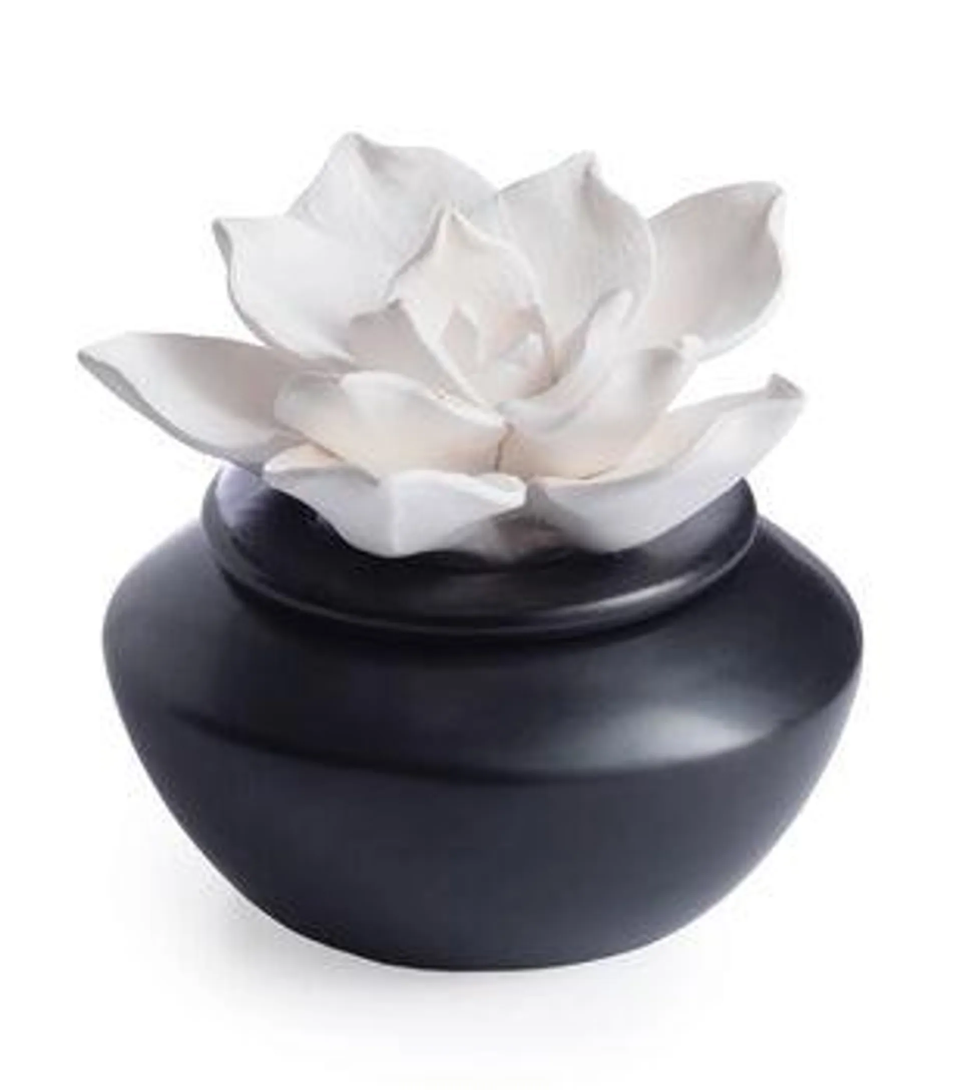 Candle Warmers 4.5" Porcelain Flower Oil Diffuser 3pc