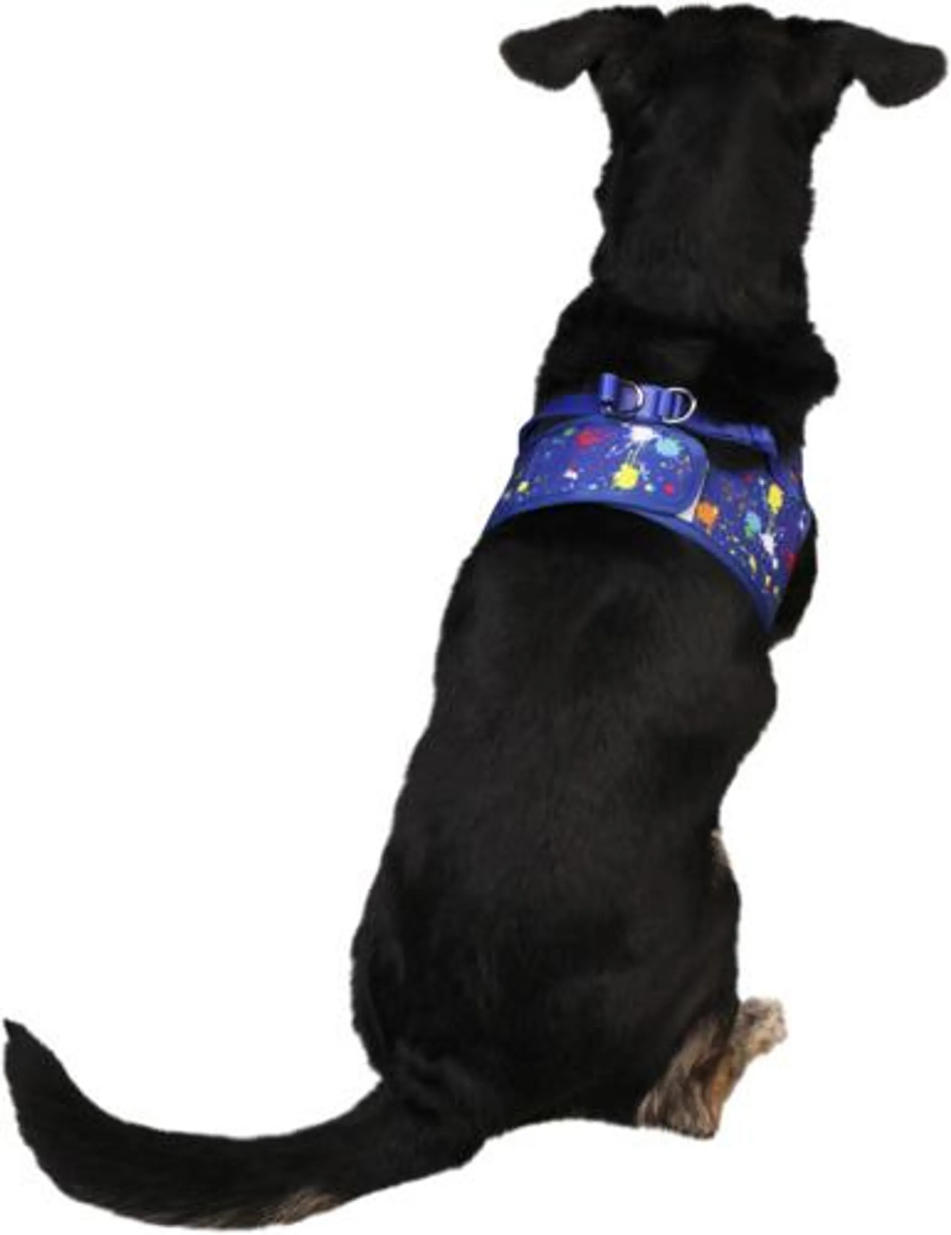 Play On Spring/Summer Paint Splatter Dog Harness, Medium