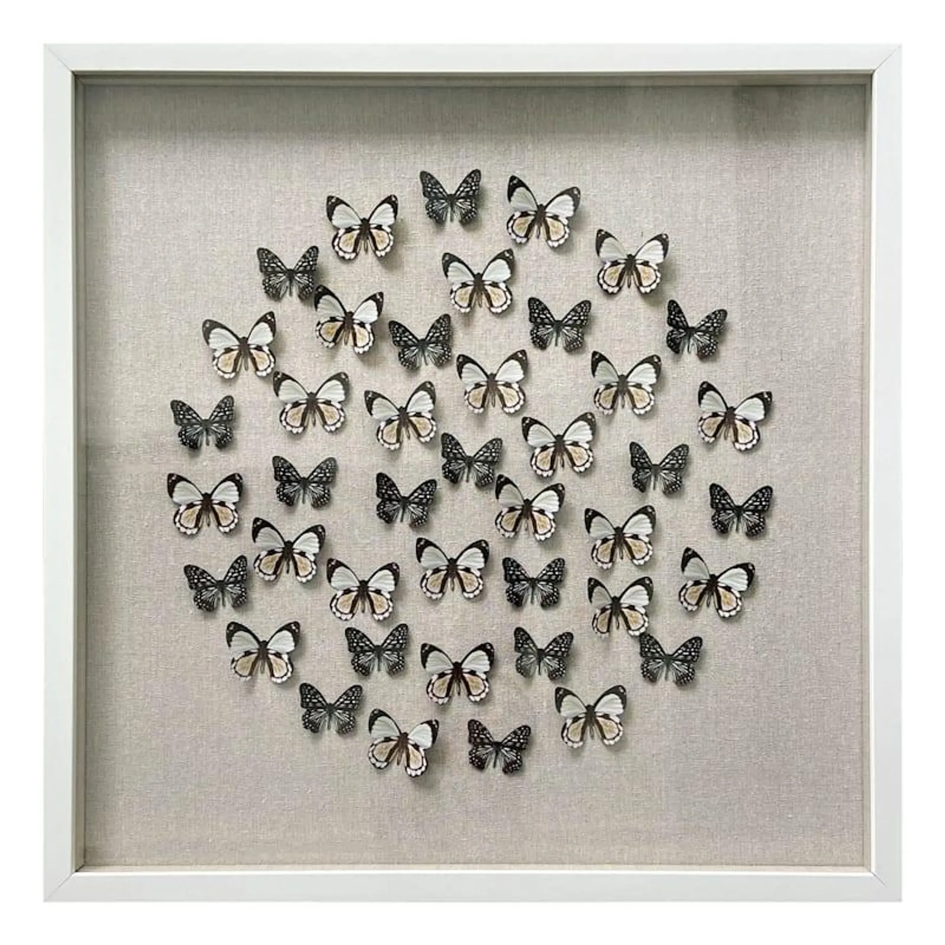 Glass Framed Butterflies Wall Art, 24"