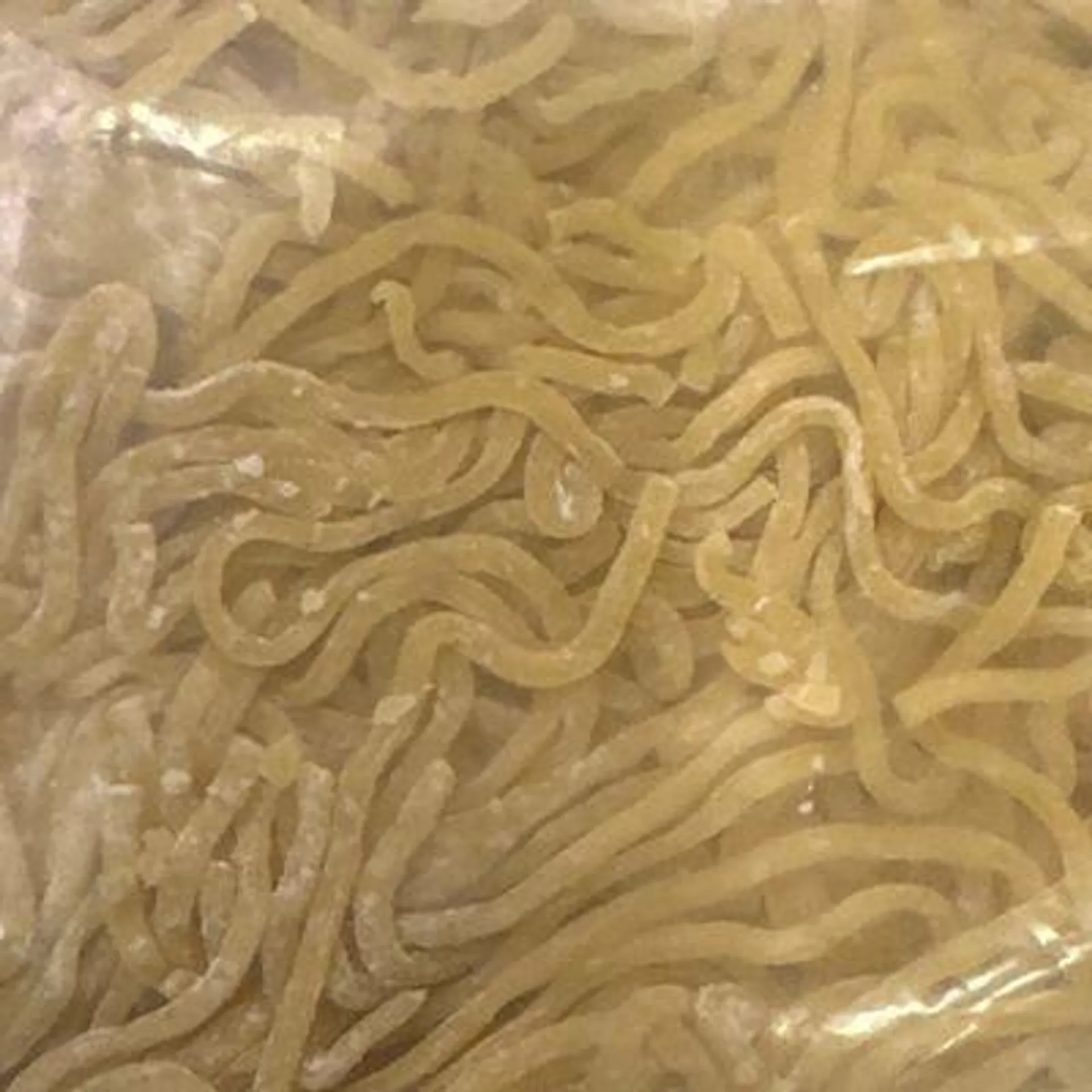 Thin Cut Wheat Noodles