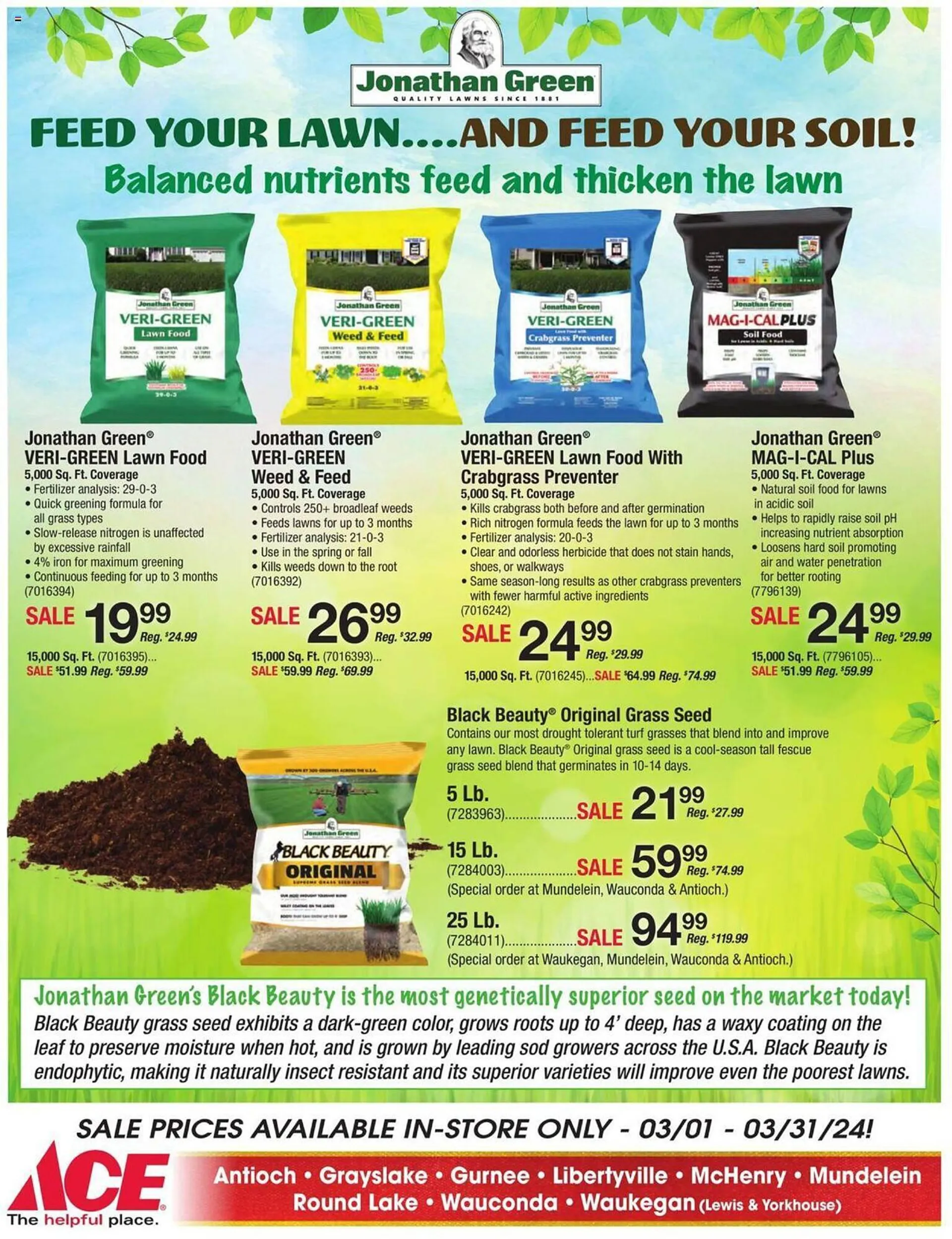 Weekly ad Ace Hardware Weekly Ad from March 1 to March 31 2024 - Page 4