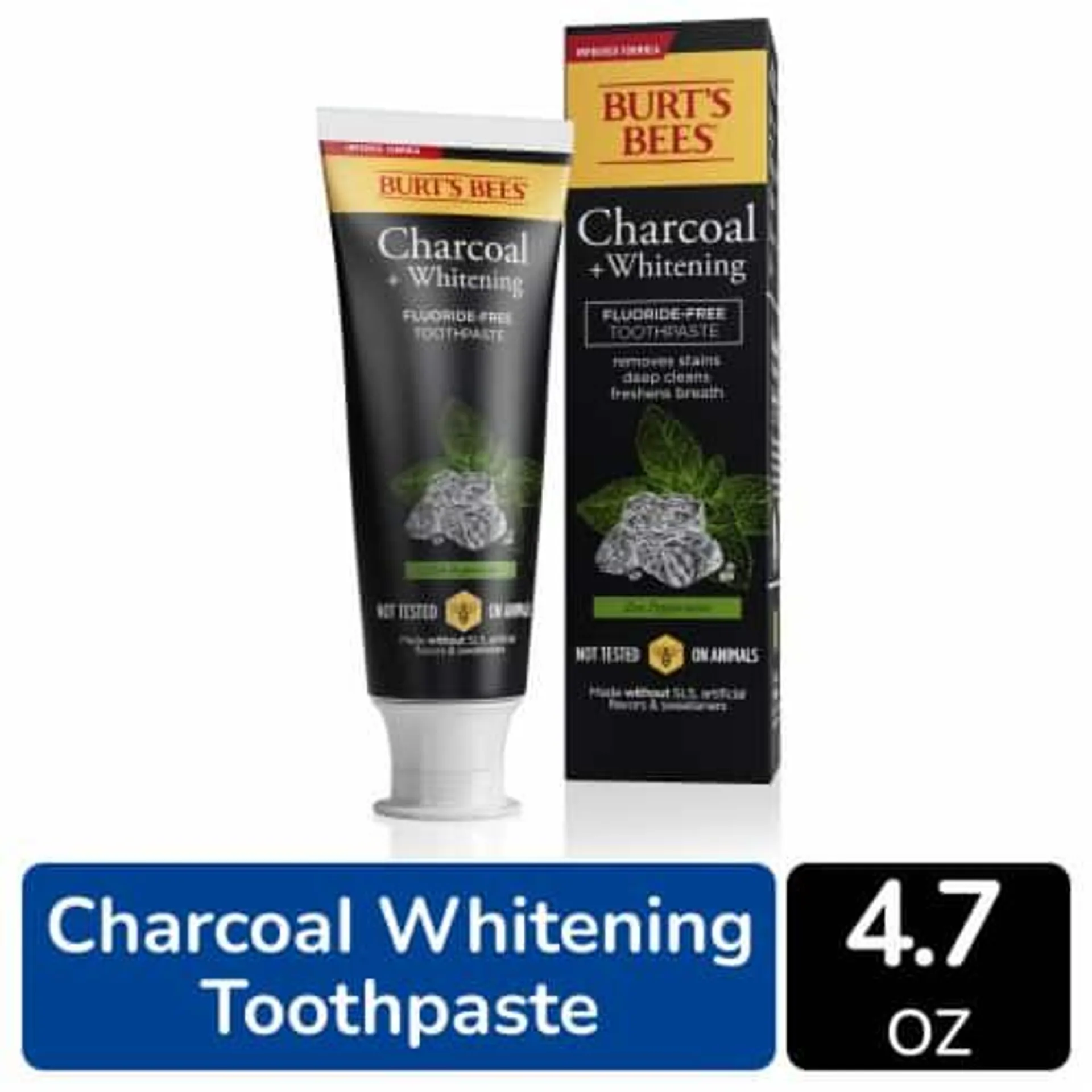 Burt's Bees Fluoride-Free Zen Peppermint Charcoal Toothpaste