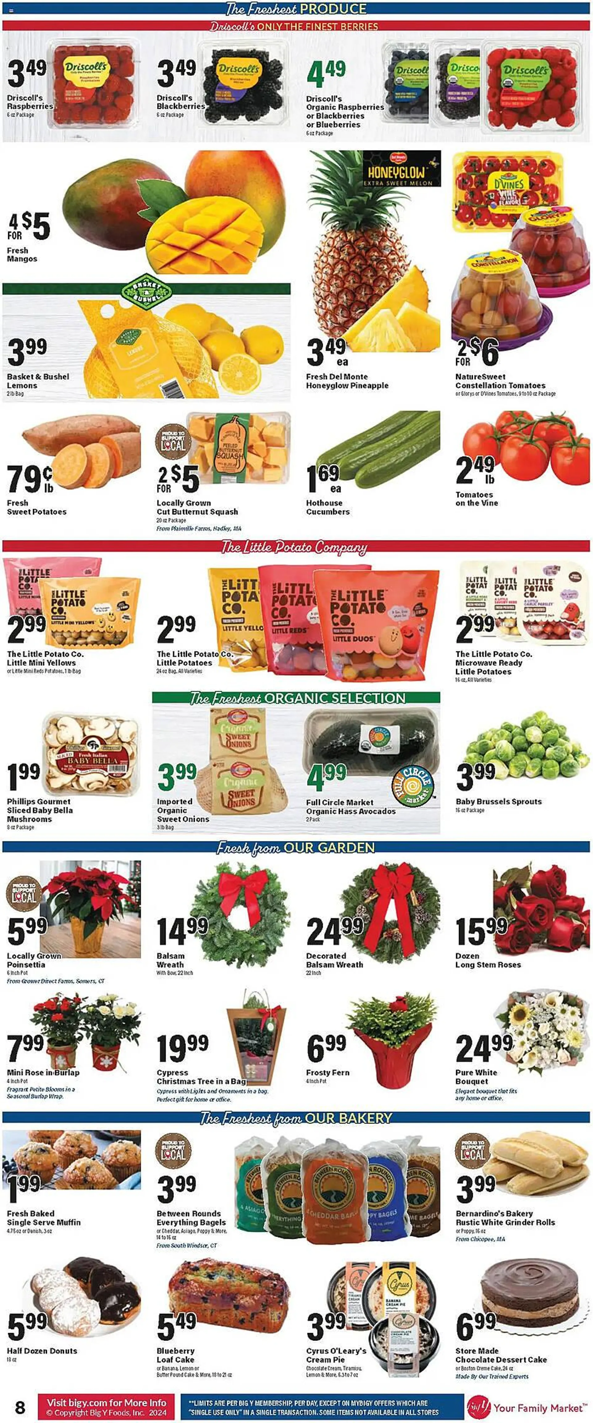 Weekly ad Big Y Weekly Ad from December 5 to December 11 2024 - Page 13