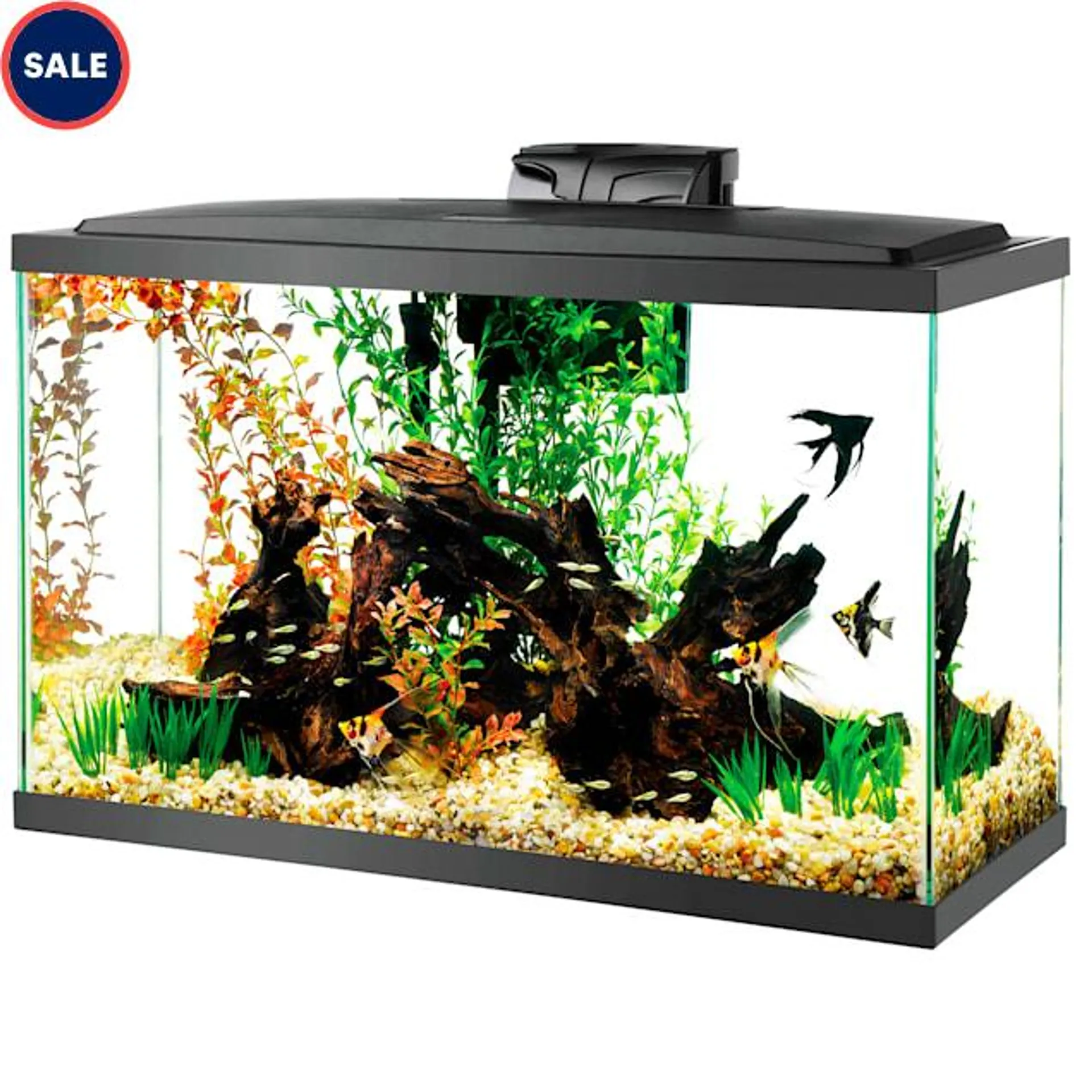 Aqueon LED 29 Gallon Aquarium Kit, 32.25" L X 14.25" W X 20.63" H