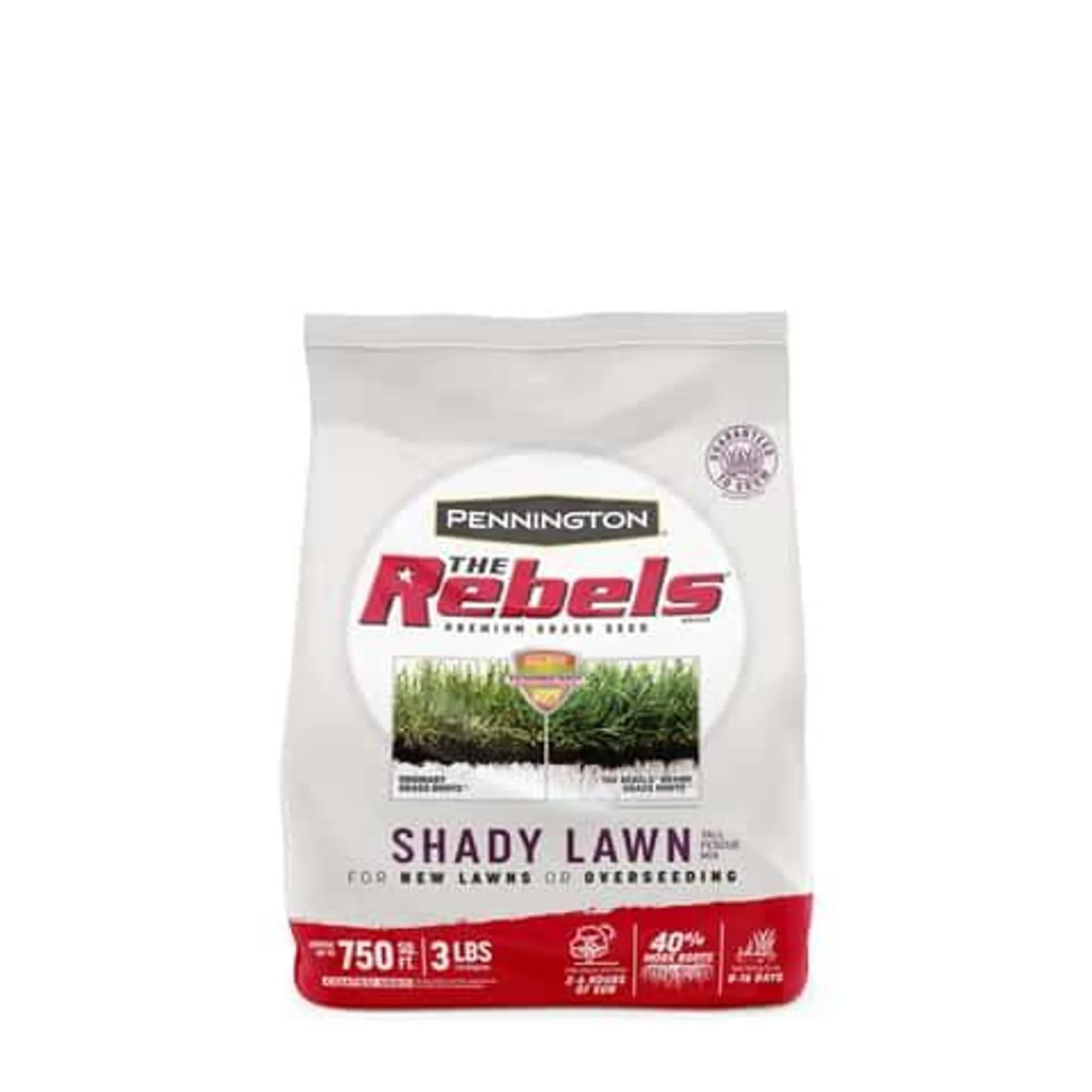 Pennington The Rebels Tall Fescue Grass Dense Shade Grass Seed 3 lb