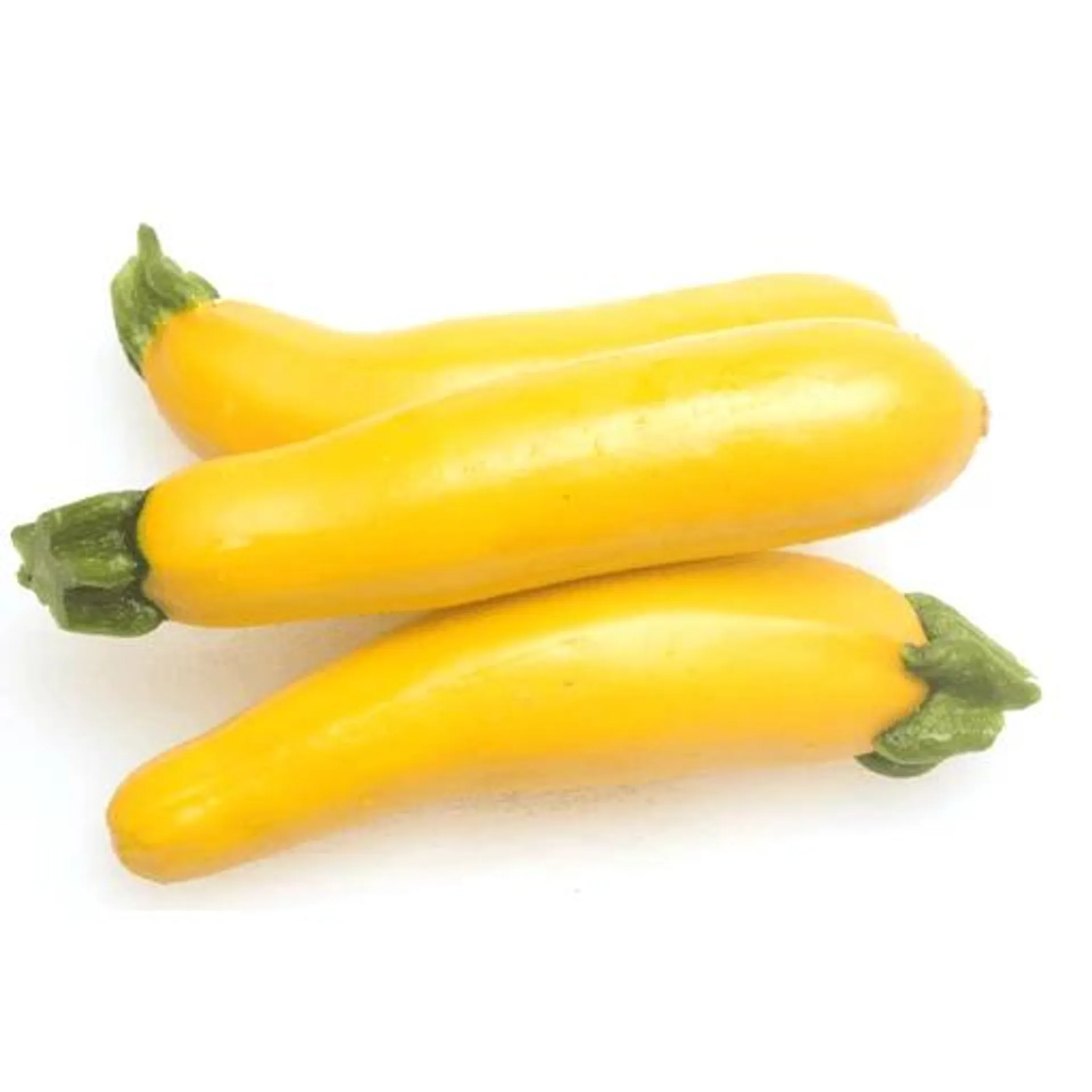 Yellow Squash