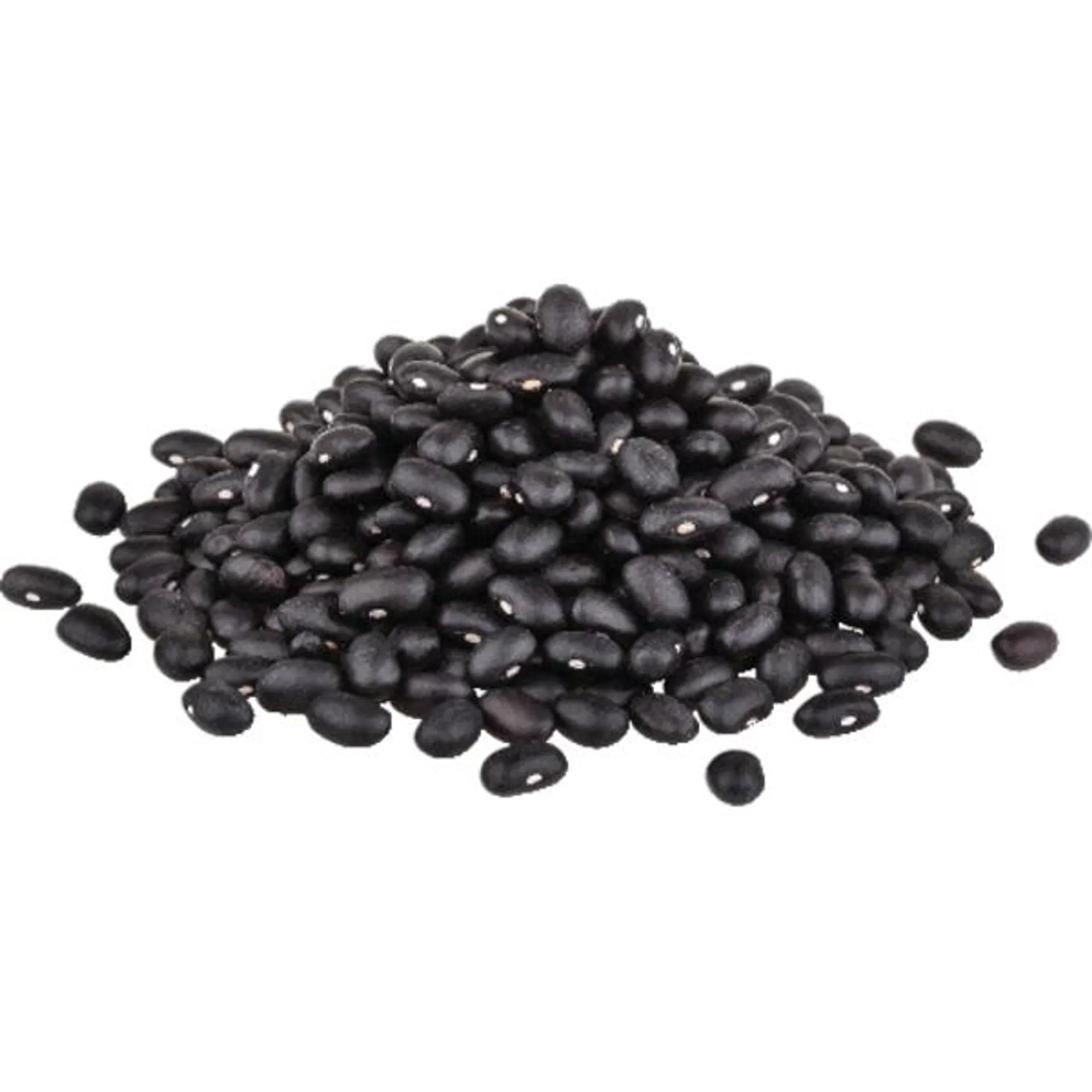 Black Beans