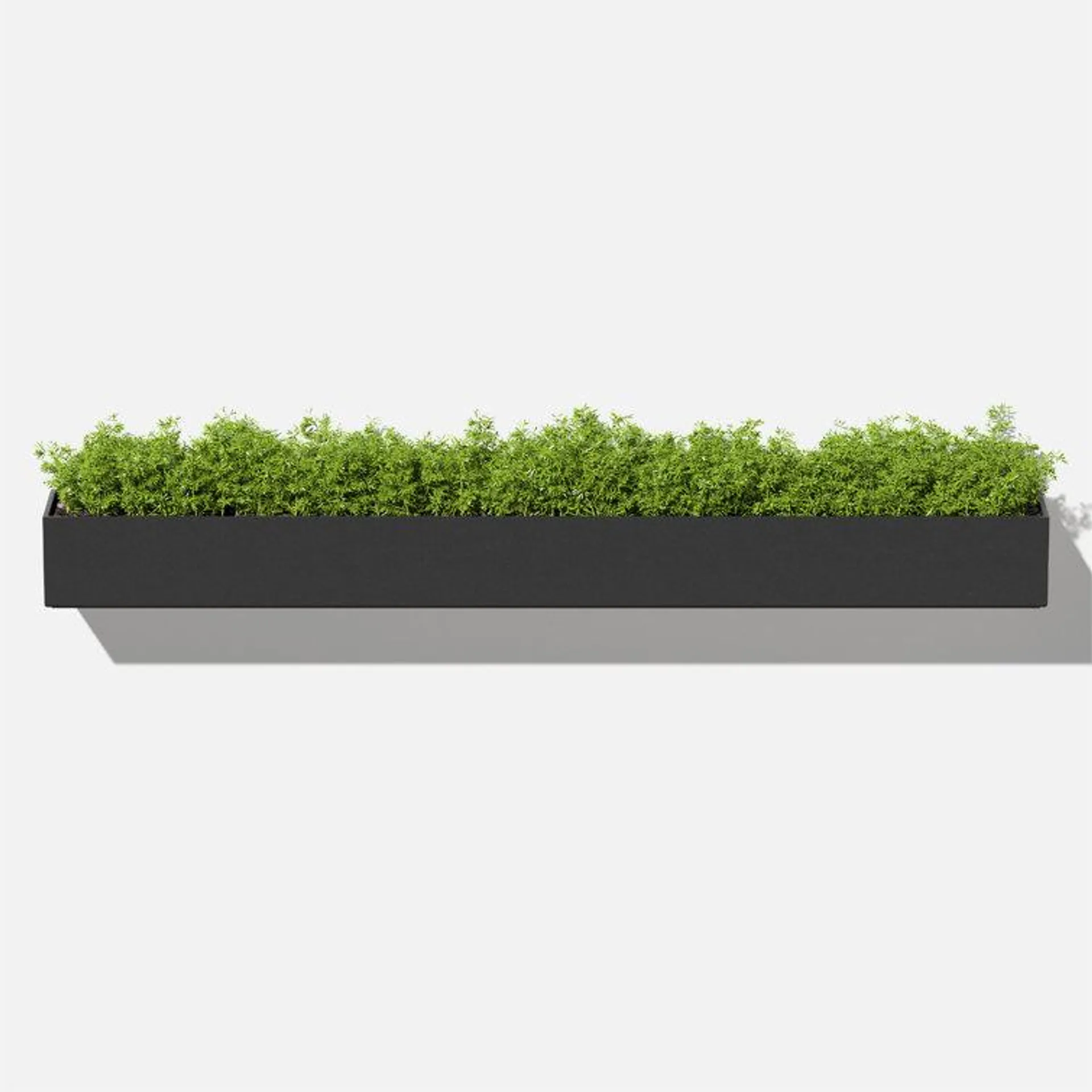 Geo Series Plastic Trough Hanging Planter