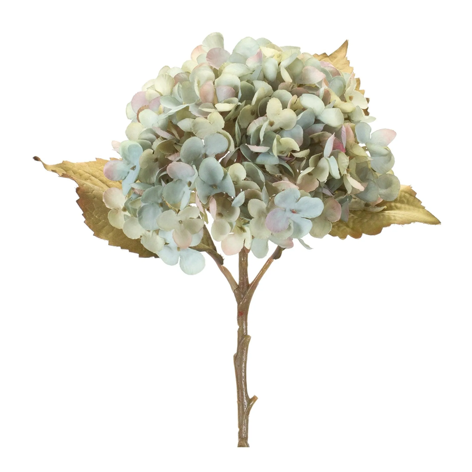 Hydrangea Stems, Set of 6