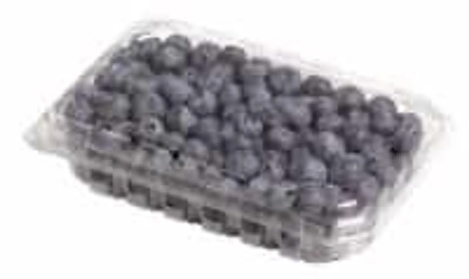 Private Selection® Fresh Colossal Blueberries