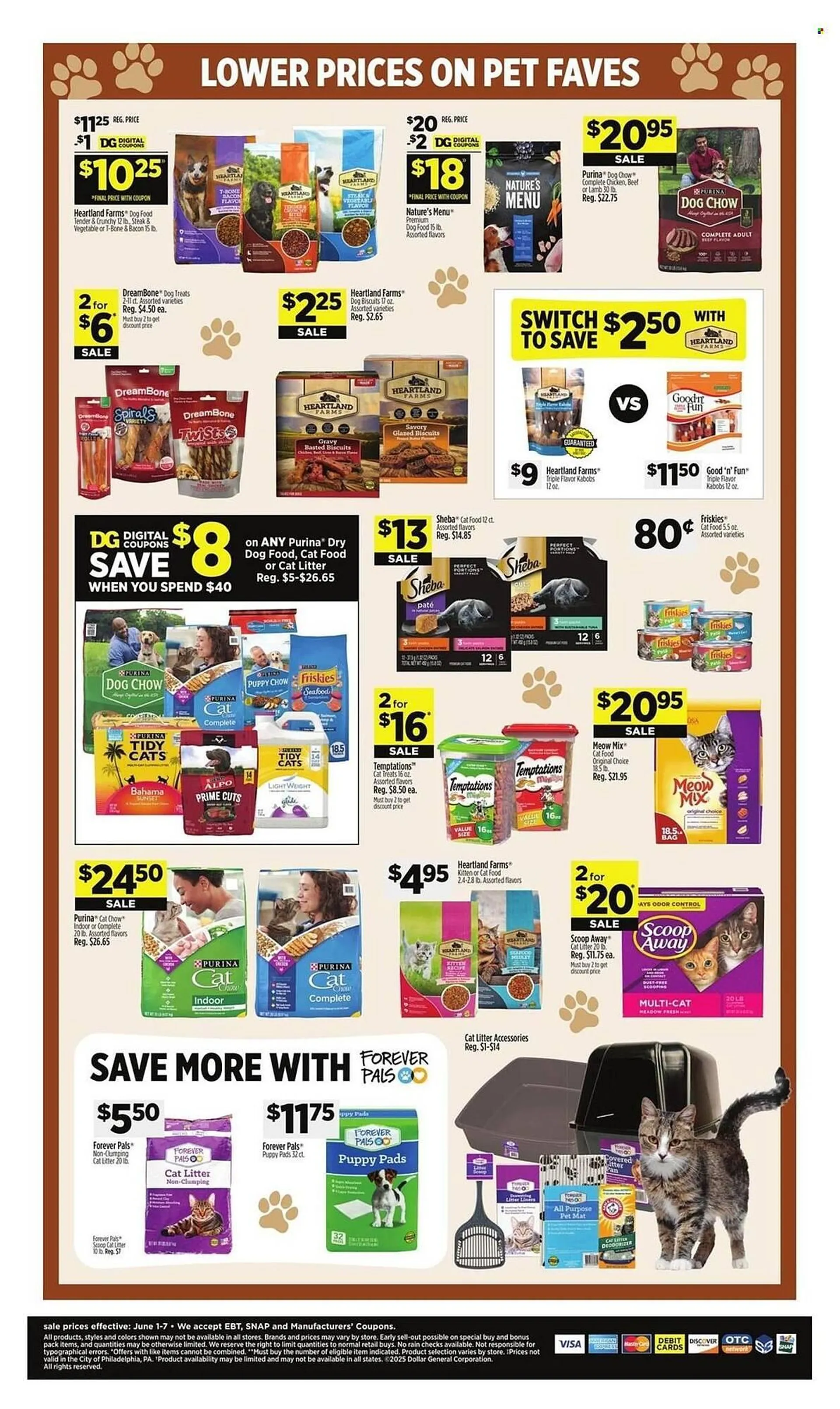 Weekly ad Dollar General Weekly Ad from June 1 to June 7 2025 - Page 9