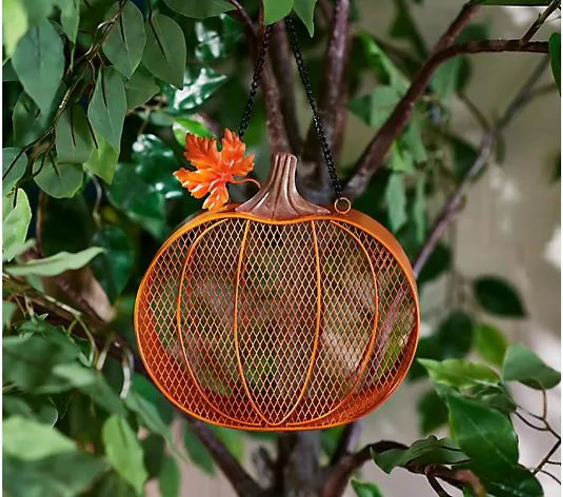 Marigold Hanging Metal Fall Bird Feeder