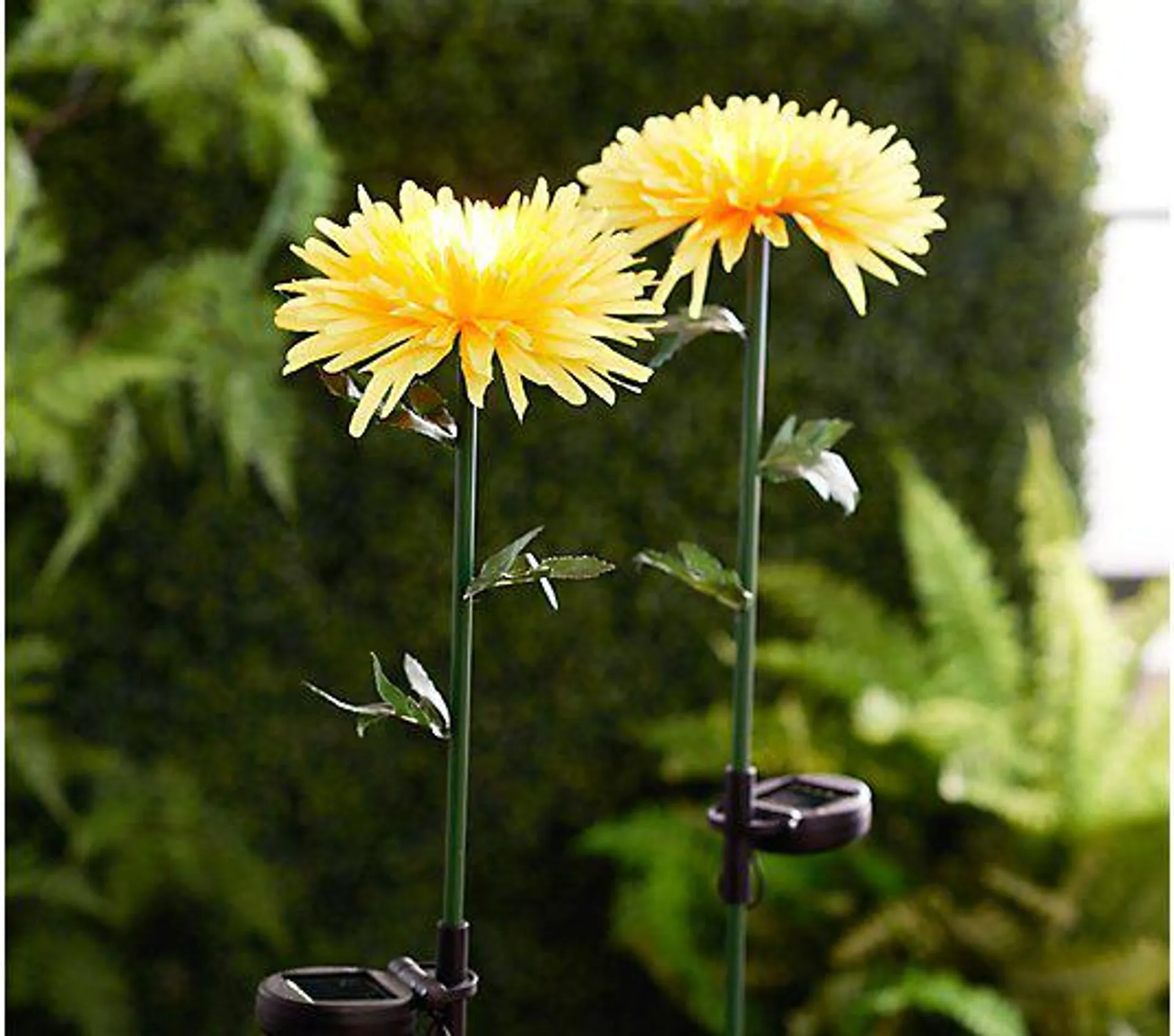 Ultimate Innovations Set of Two Solar Fabric Chrysanthemums