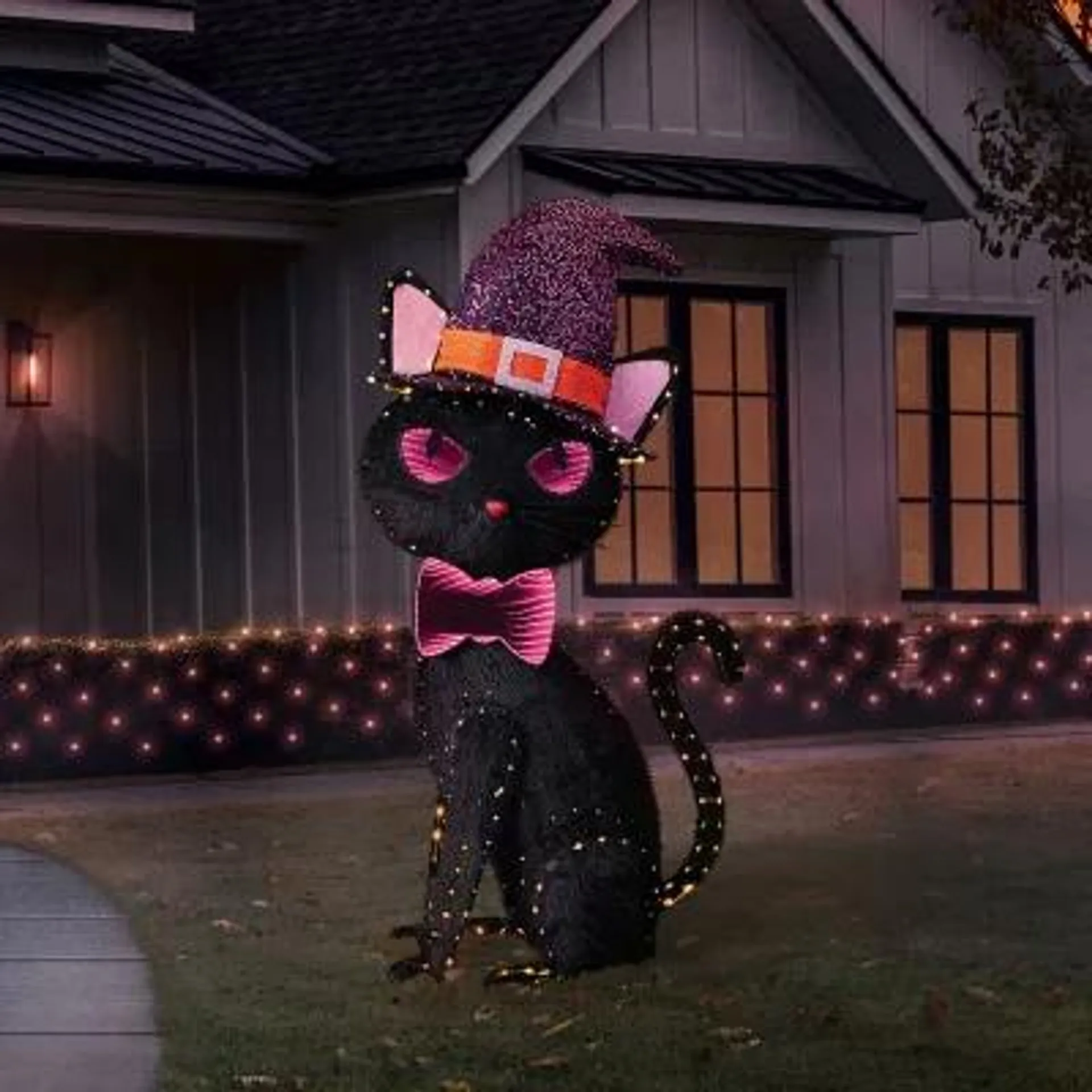 Member's Mark 5' Pre-Lit Black Cat