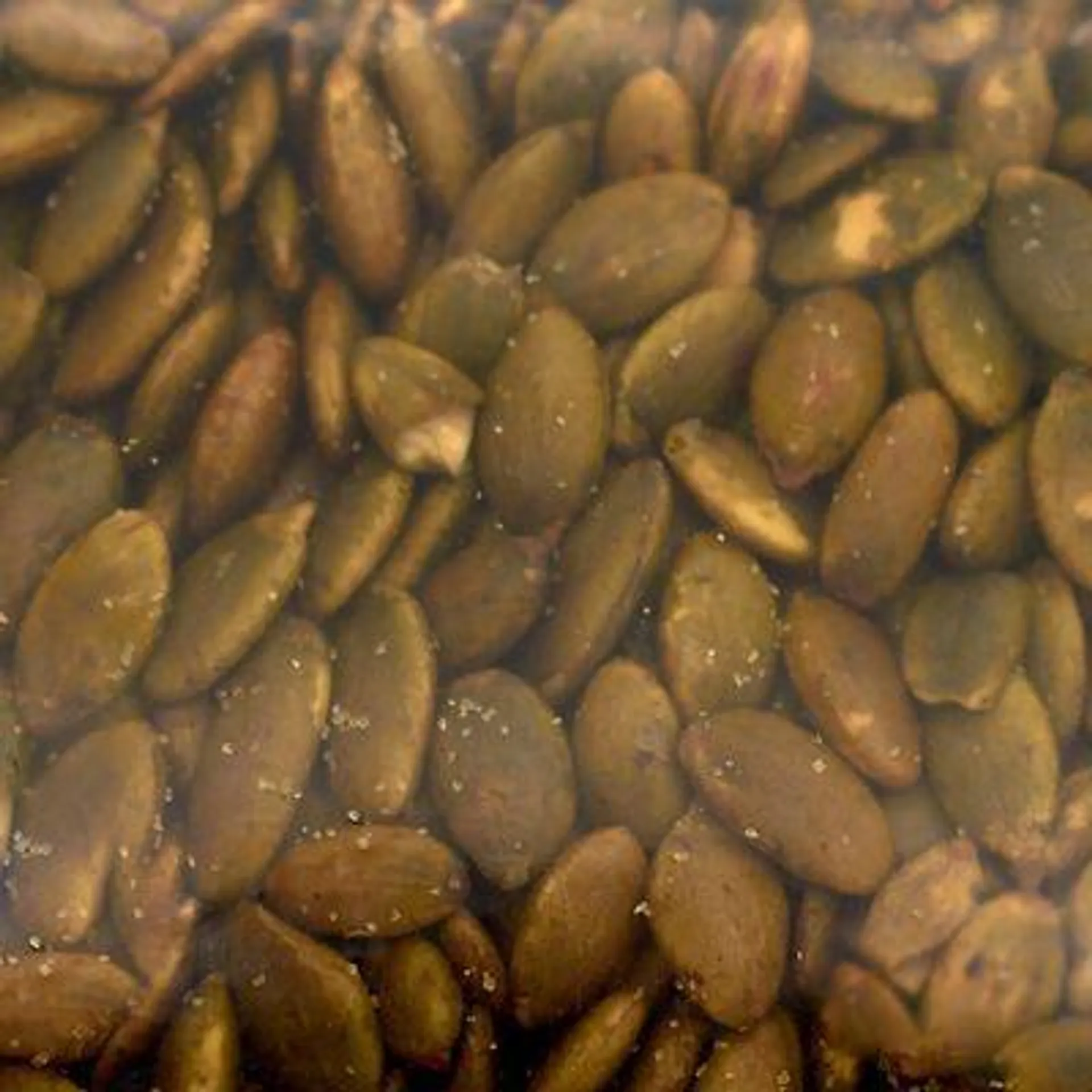 Pumpkin Seed Roasted And Salted