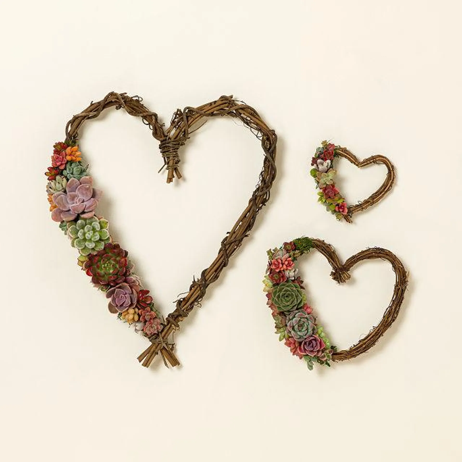 Heart Shaped Succulent Wreath