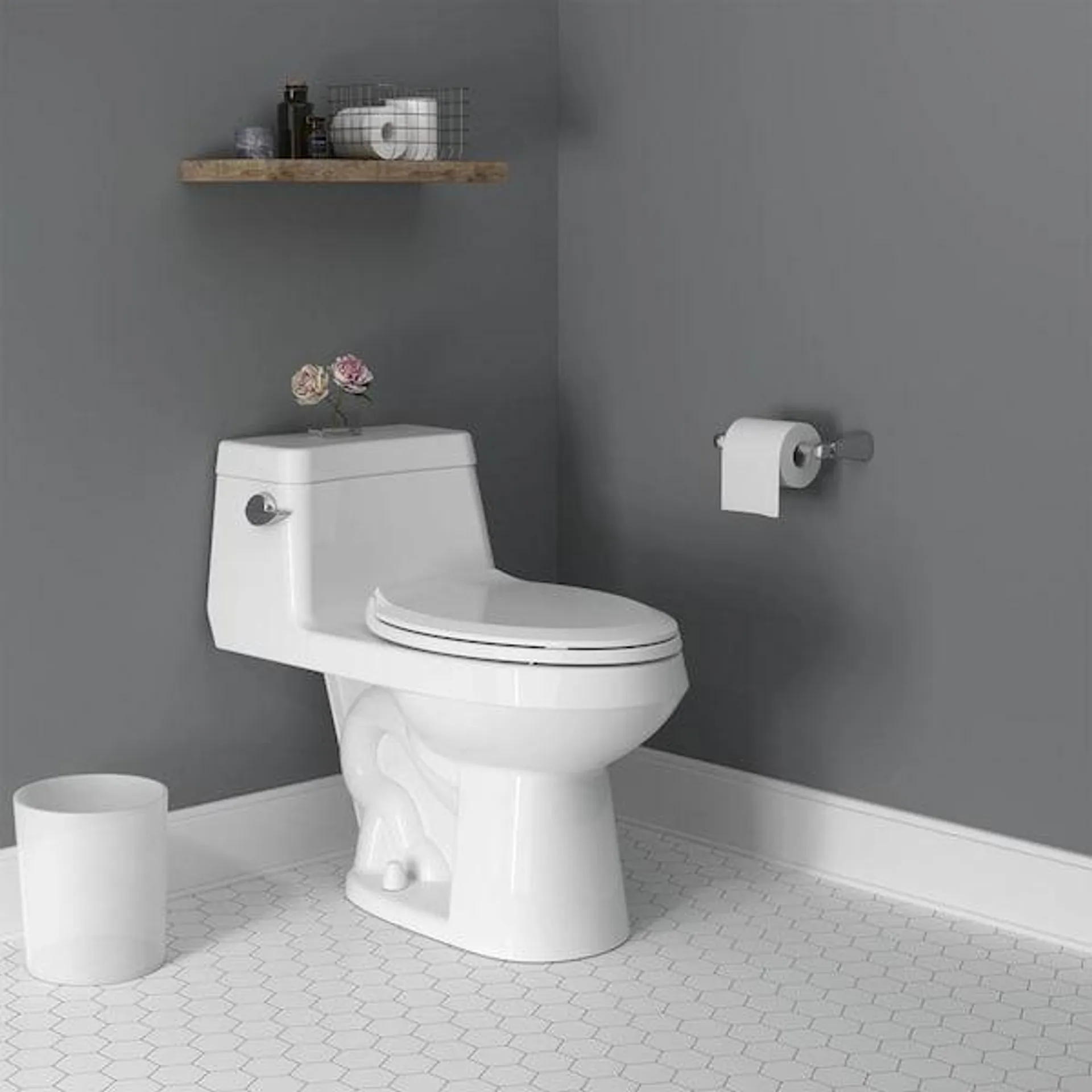 Colony 1-Piece 1.28 GPF Single Flush Elongated Toilet in White Seat Included