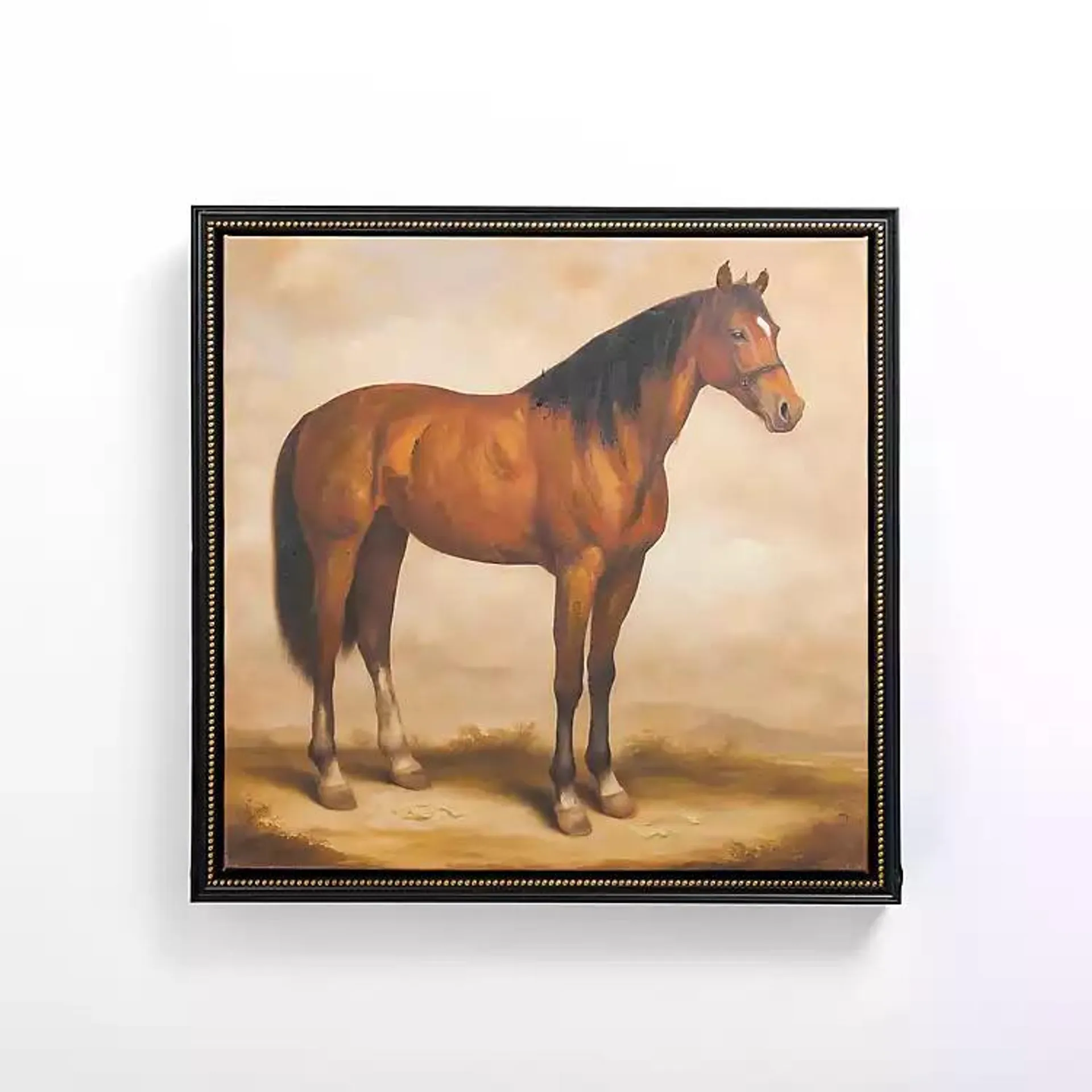 Horse Stance Framed Canvas Art Print