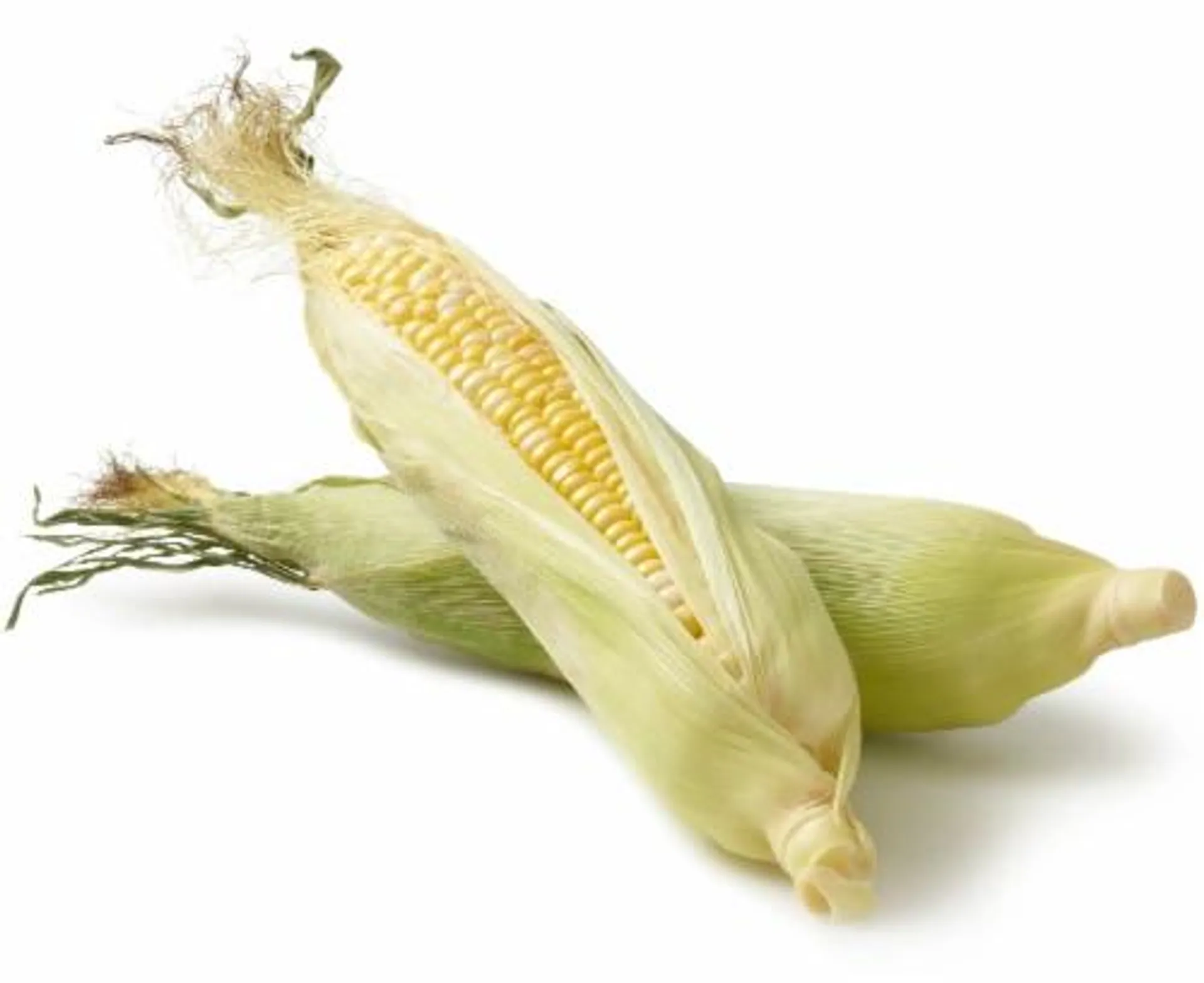 Fresh Sweet Corn on the Cob-Each