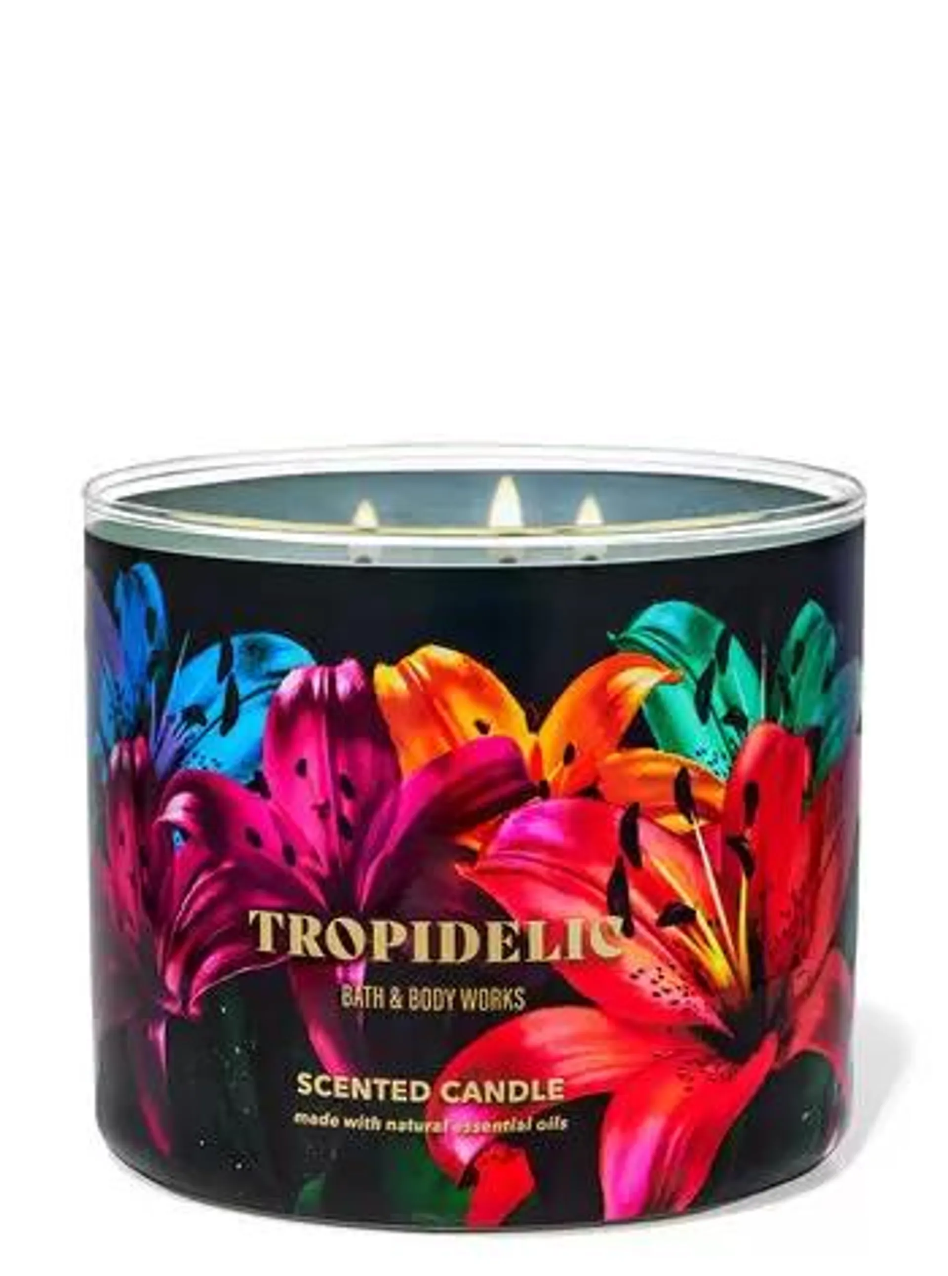 Tropidelic 3-Wick Candle