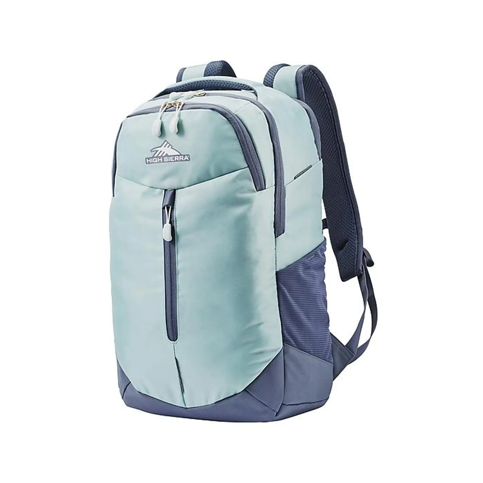 High Sierra Swerve Pro Backpack,