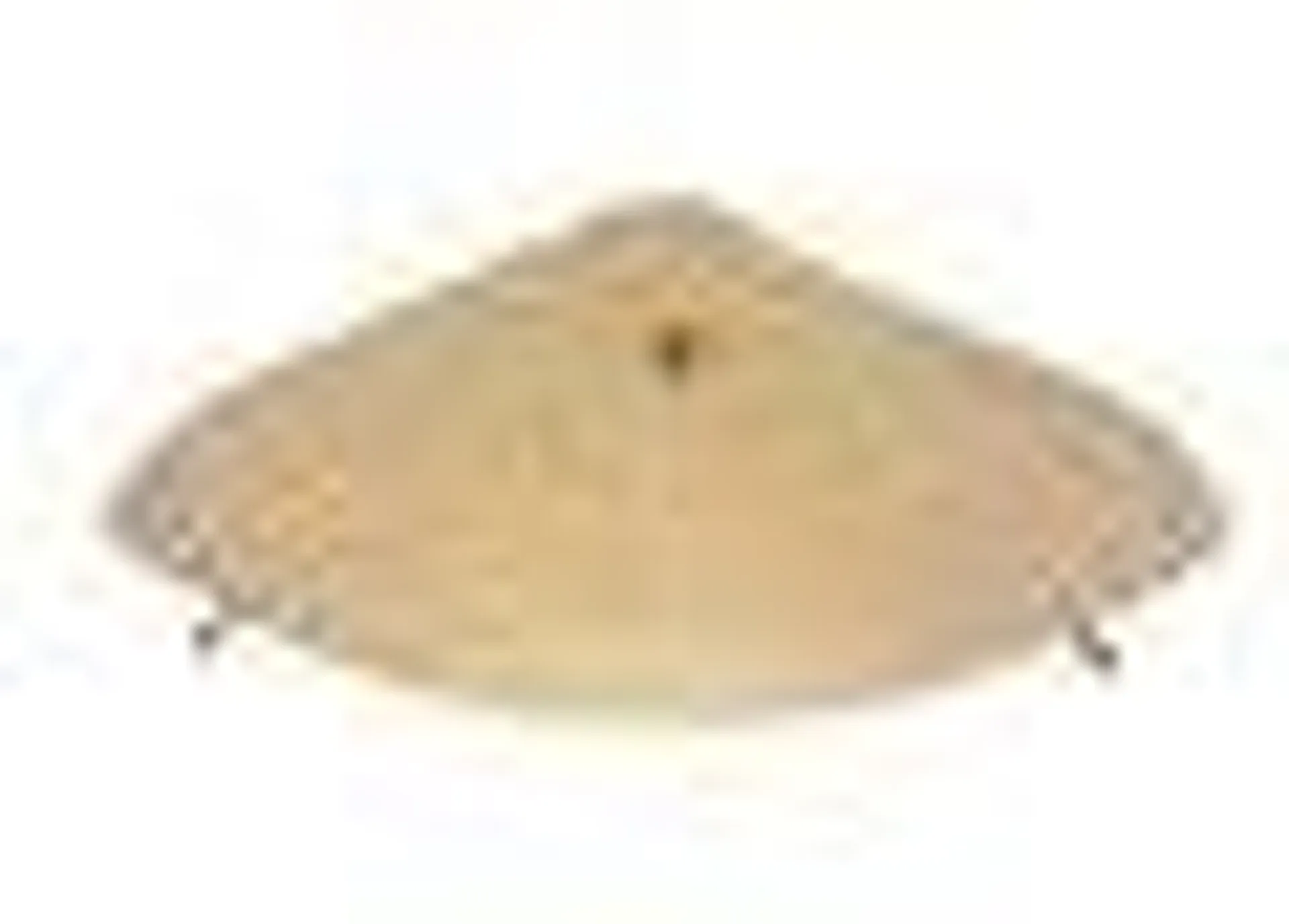 Mid-Century Modern Flying Saucer Flush Mount by Carl Auböck, 1950