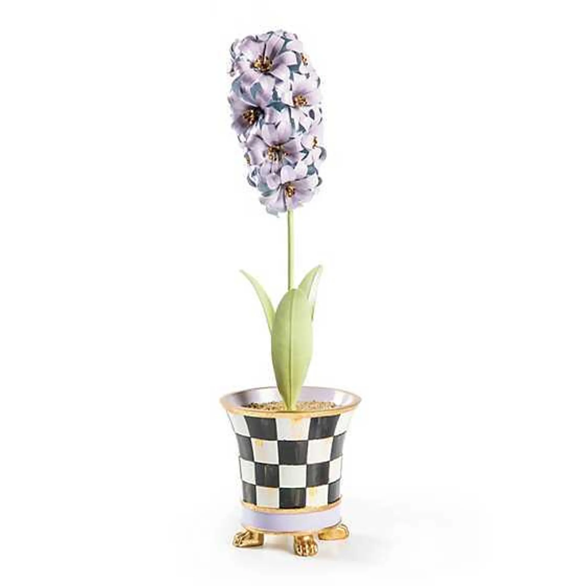 Botany Potted Hyacinth Flower