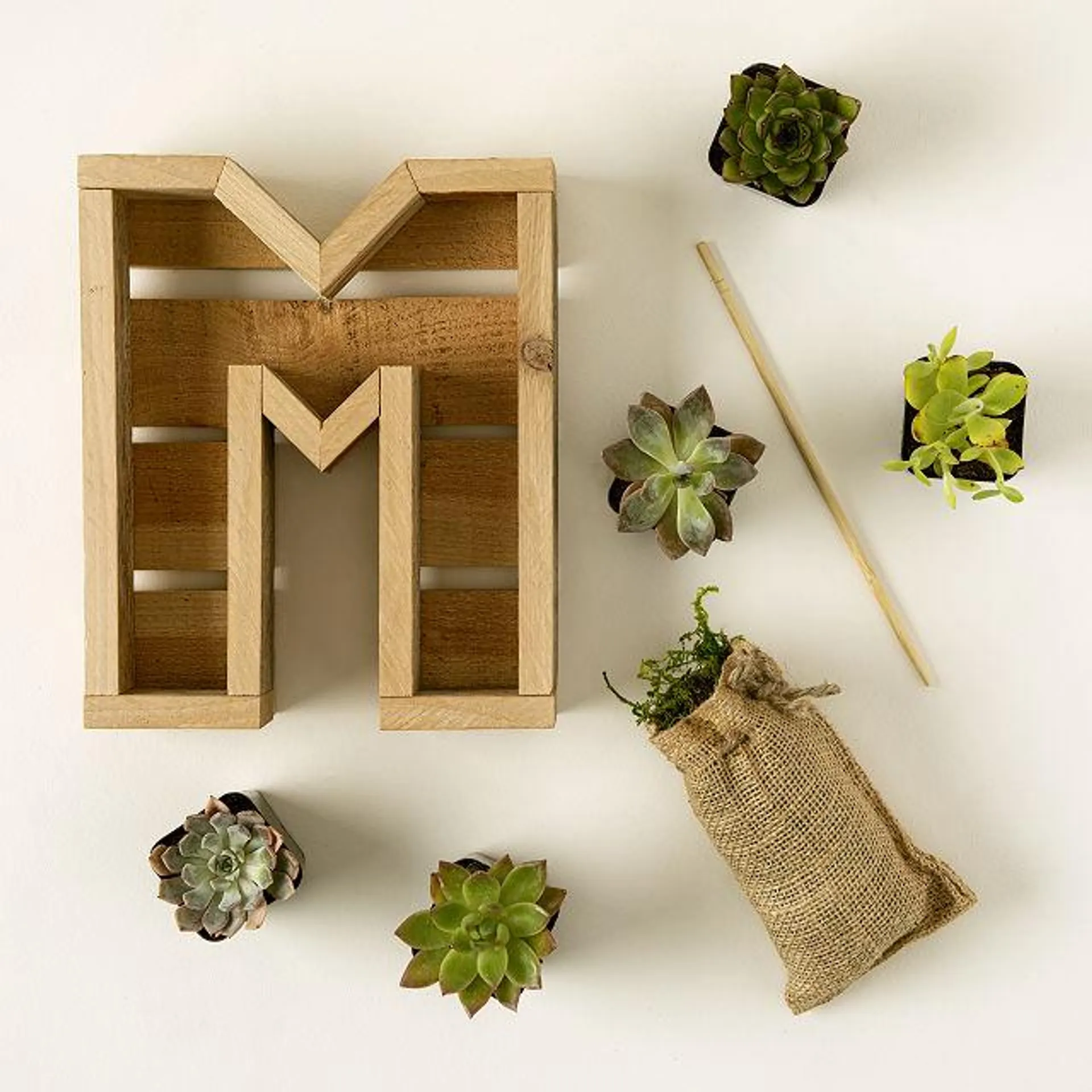 Succulent Letter DIY Kit