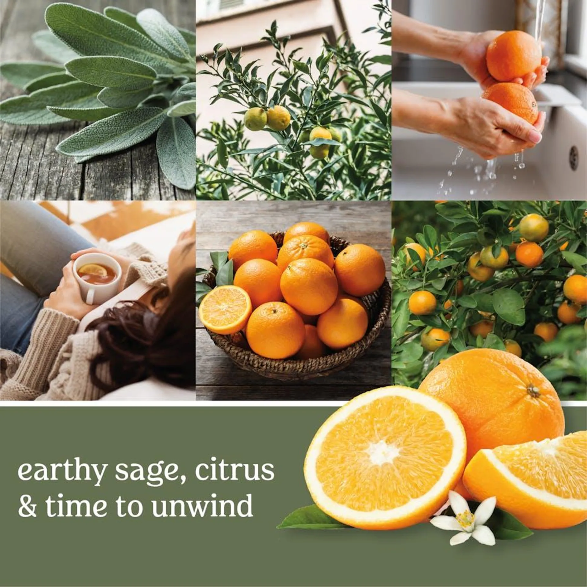 Sage & Citrus