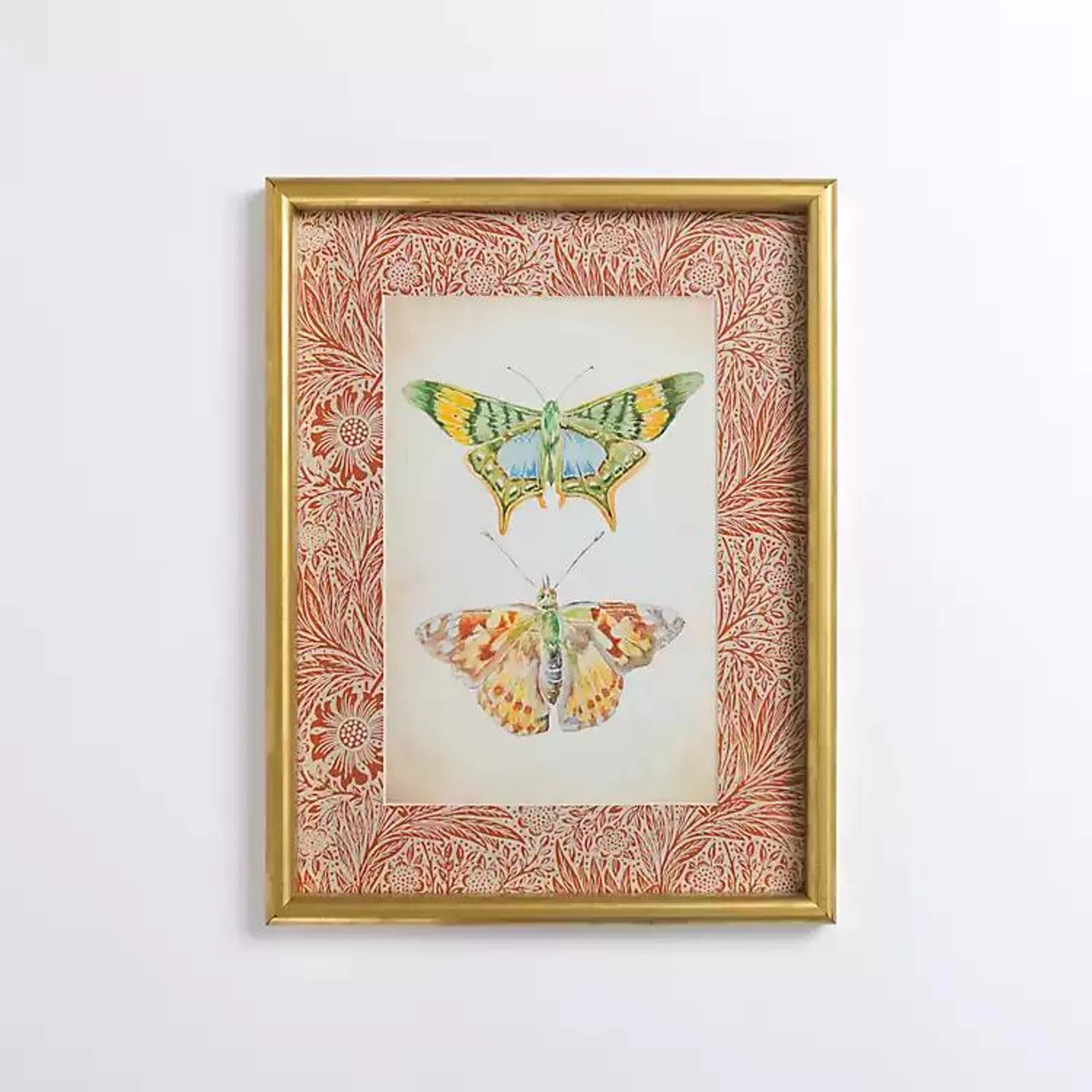 Butterfly Duo Framed Art Print