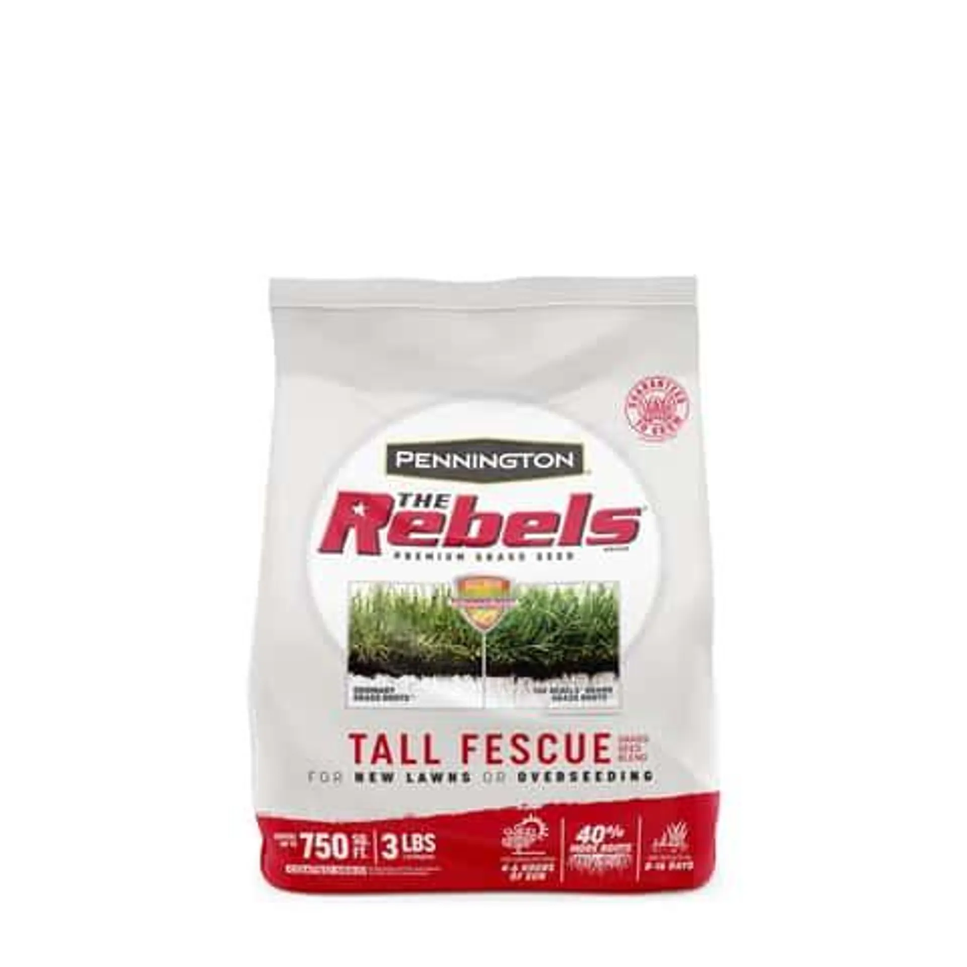 Pennington The Rebels Tall Fescue Grass Sun or Shade Grass Seed 3 lb