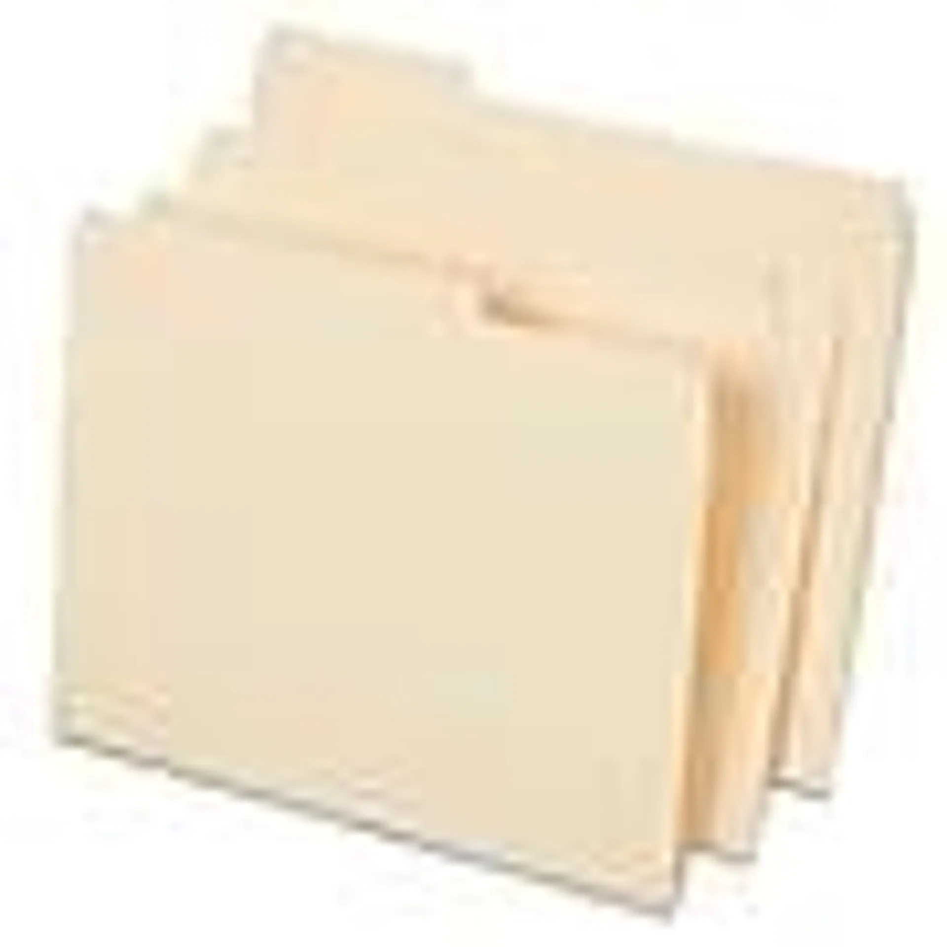 Staples File Folder,