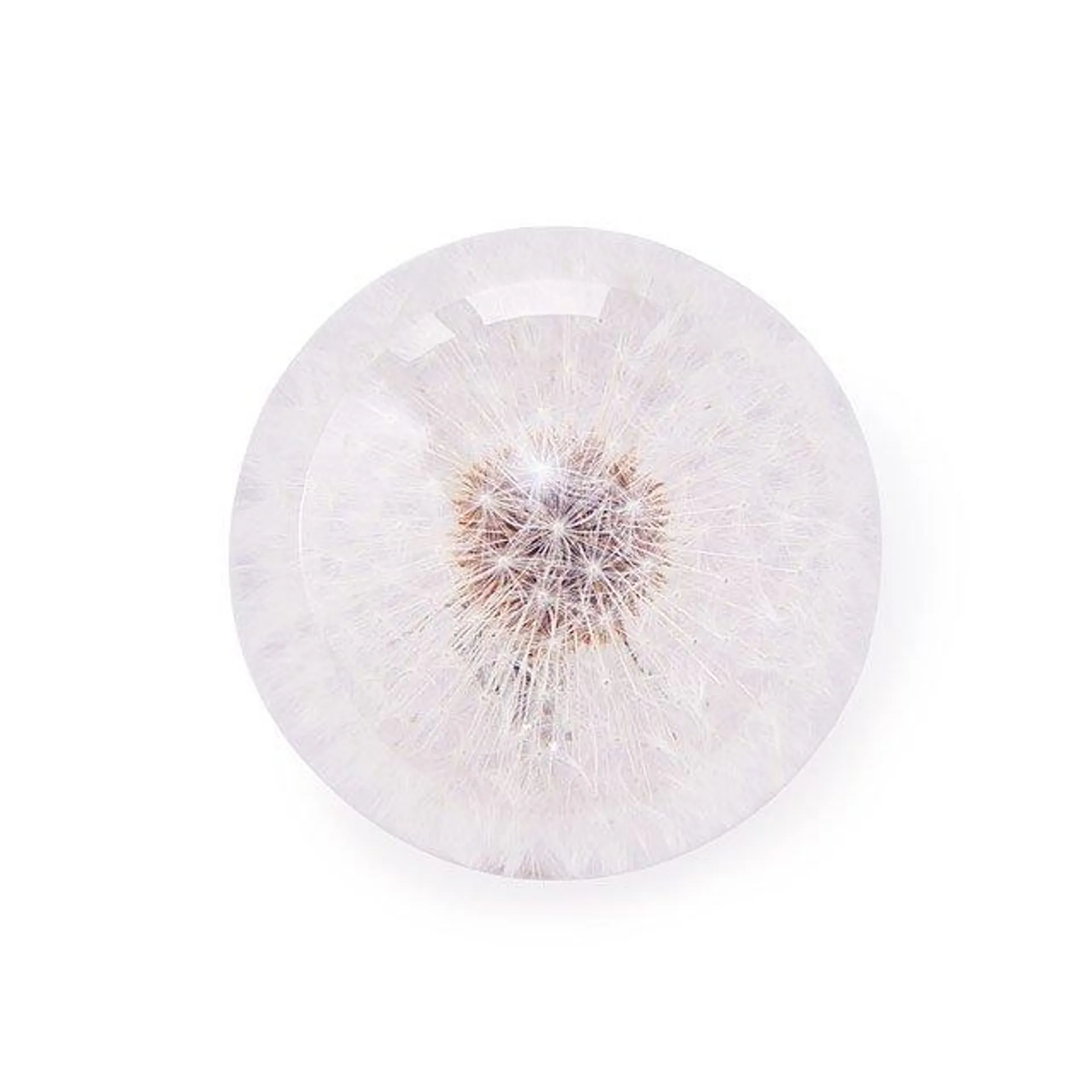 Dandelion Paperweight