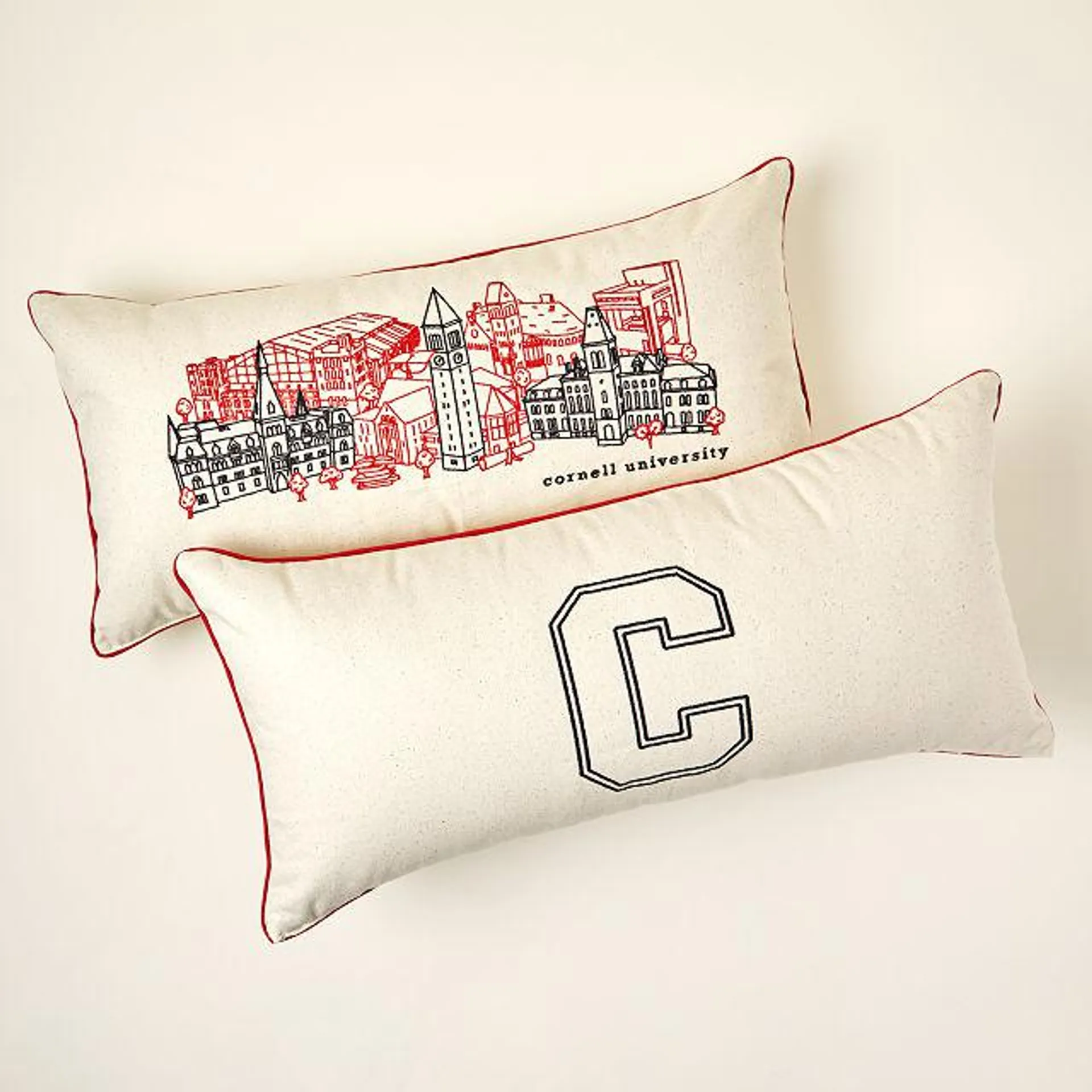 College Cityscape Embroidered Pillow