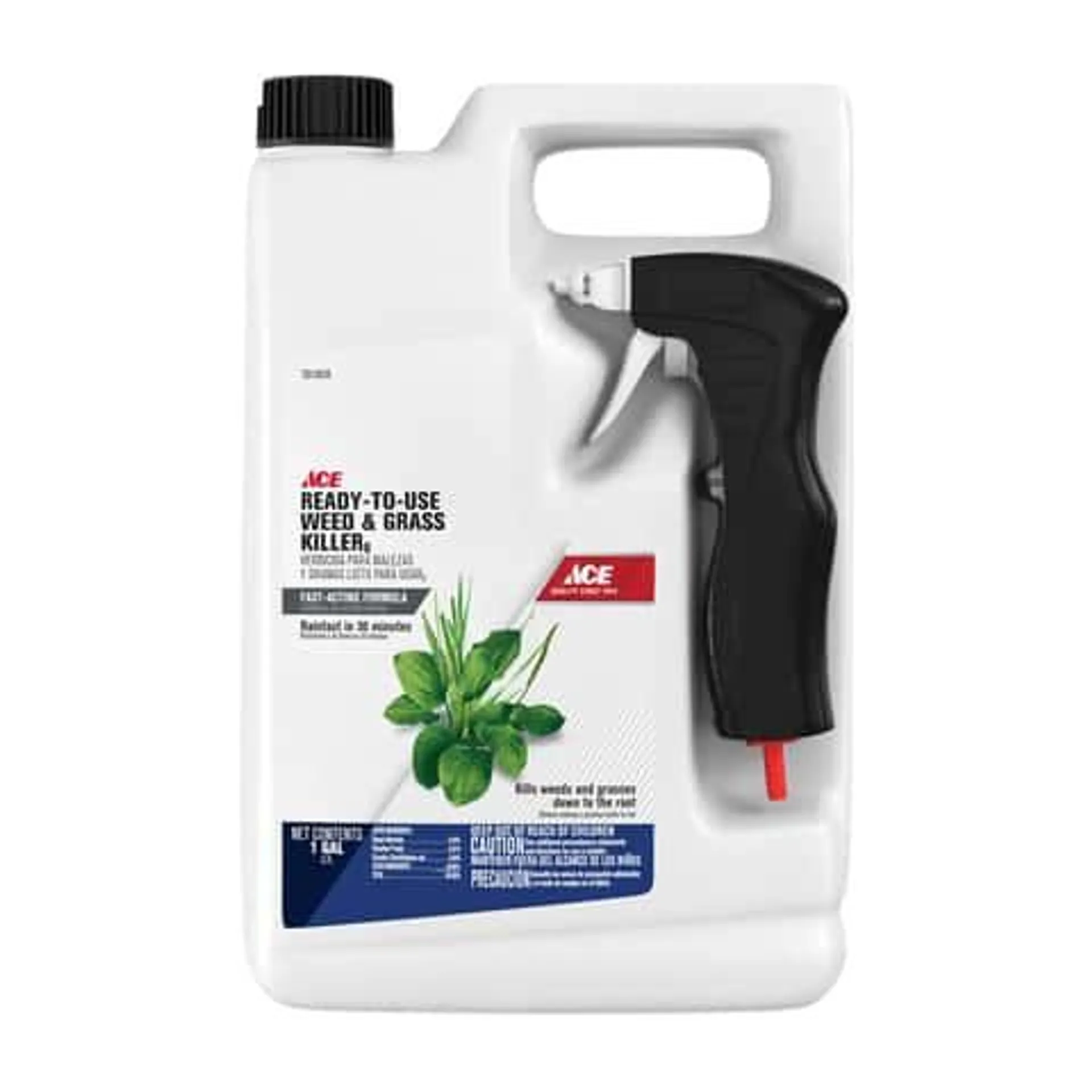 Ace Weed and Grass Killer RTU Liquid 1 gal