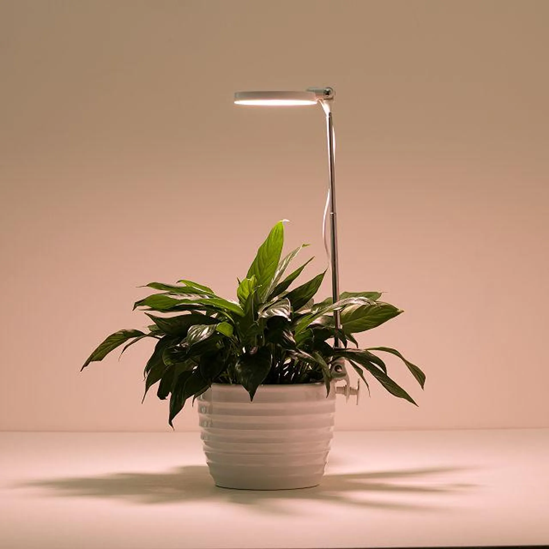 Adjustable Height Auto-Timed Grow Light