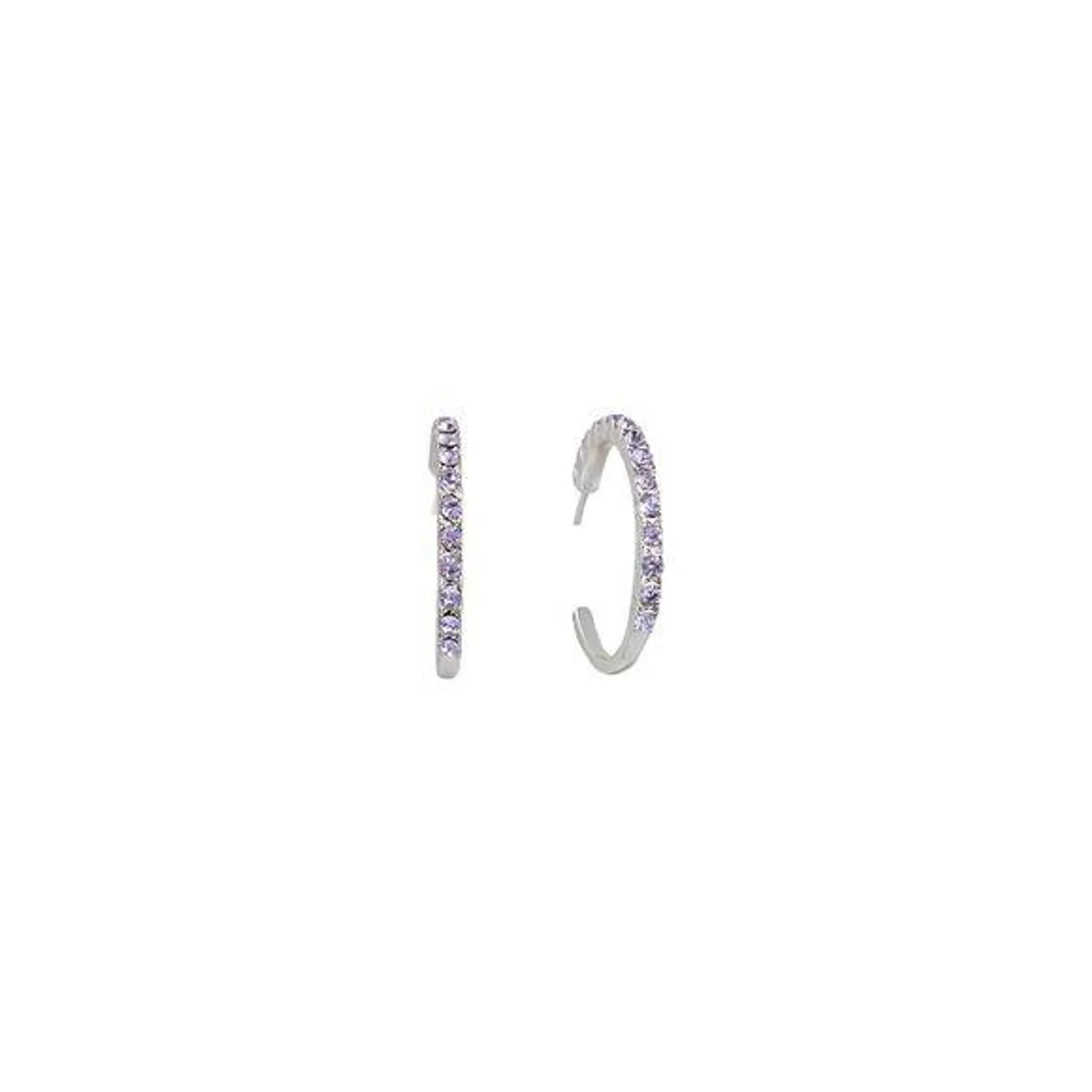 Violet Jewel-Tone Hoop Earrings